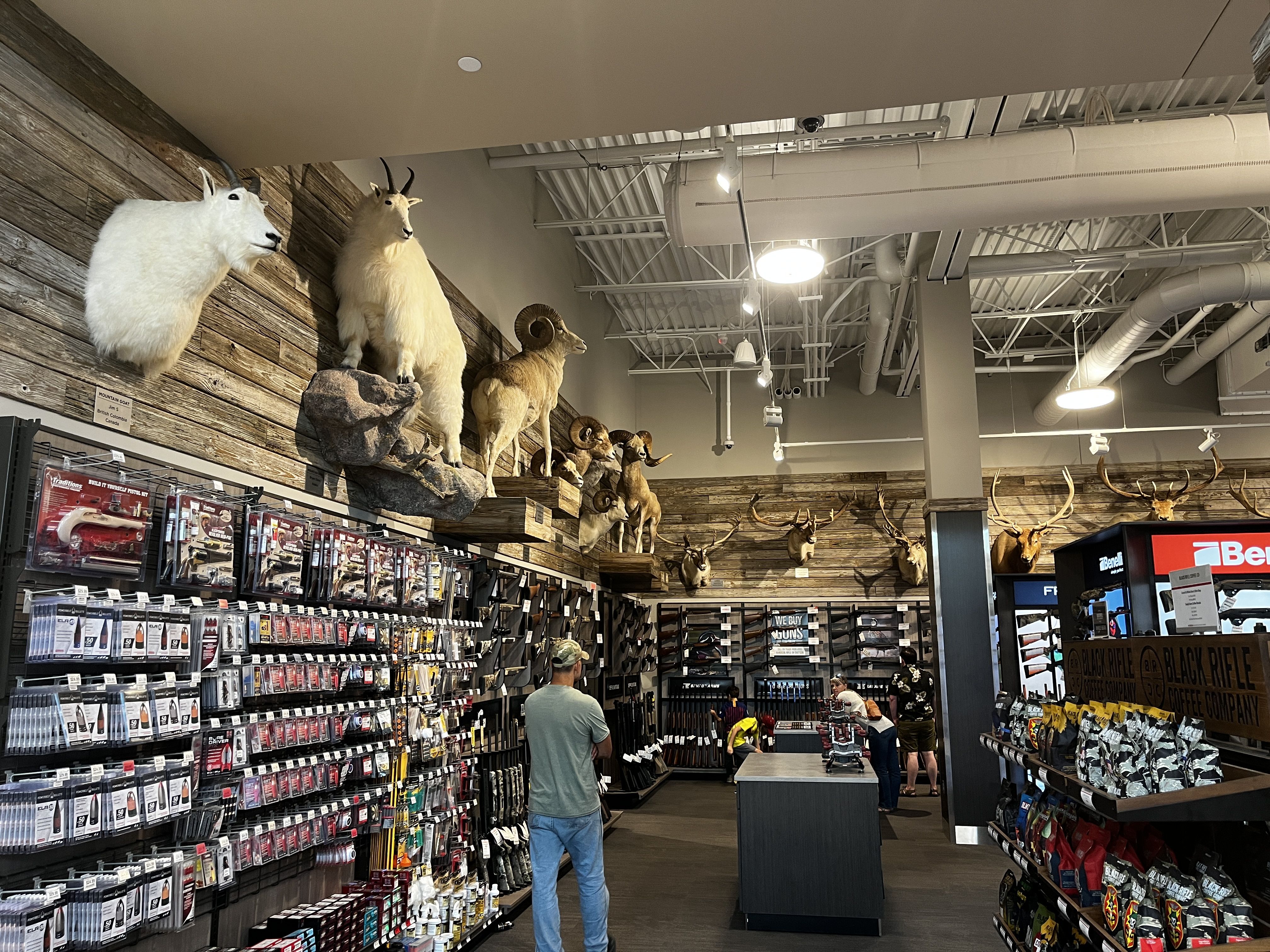 A hunting department with taxidermy animals.