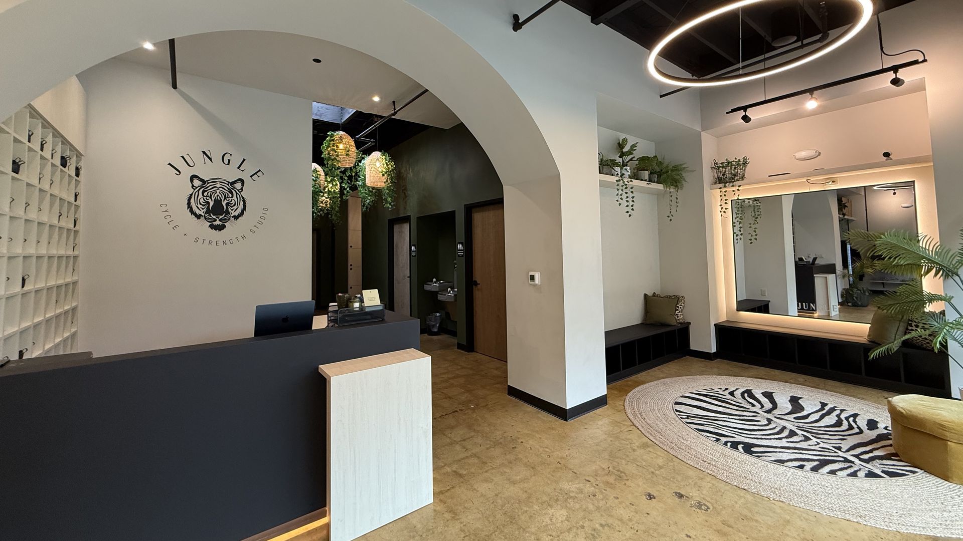 Jungle studio Charlotte