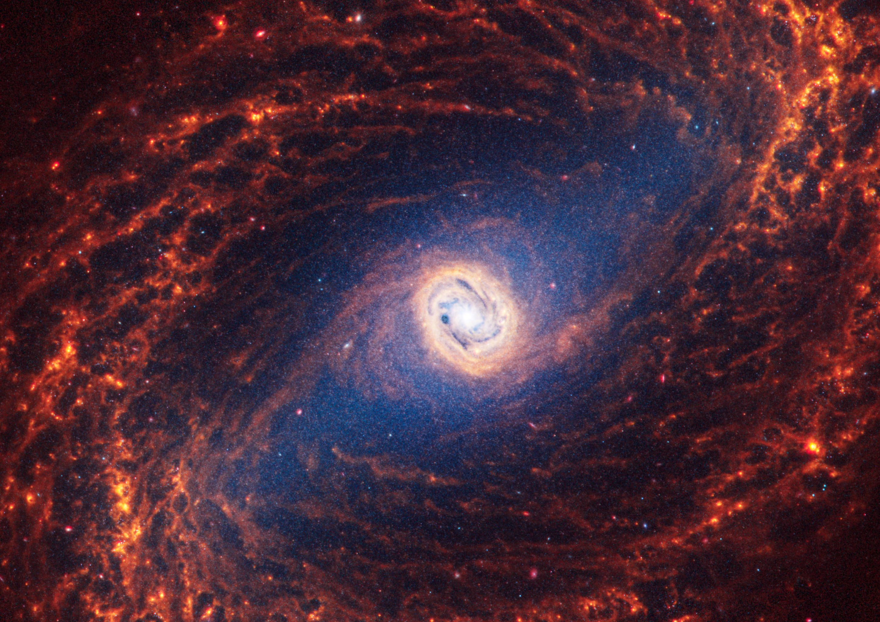 NGC 1433 is 46 million light-years away in the constellation Horologium.