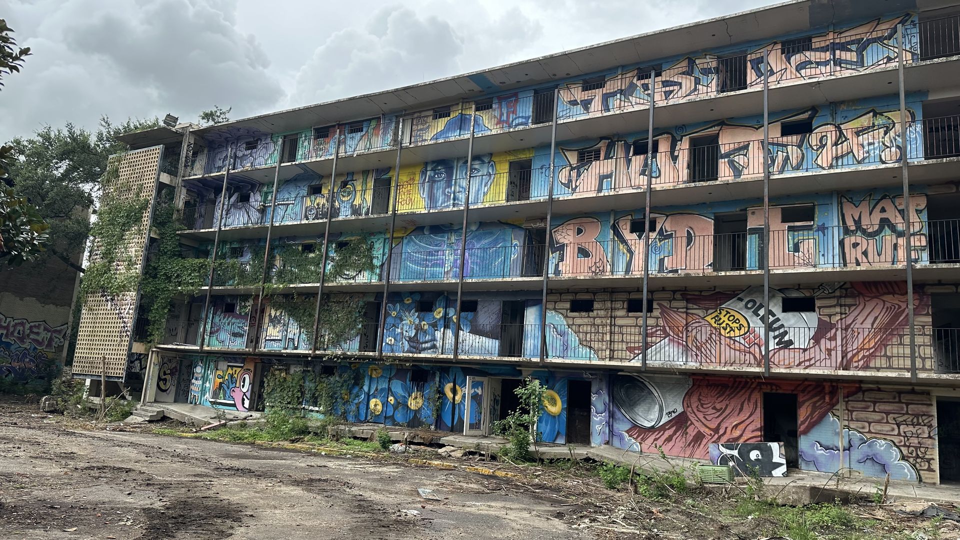 A picture of an abandoned, blighted apartment complex with overgrown vines. The walls are covered in graffiti.