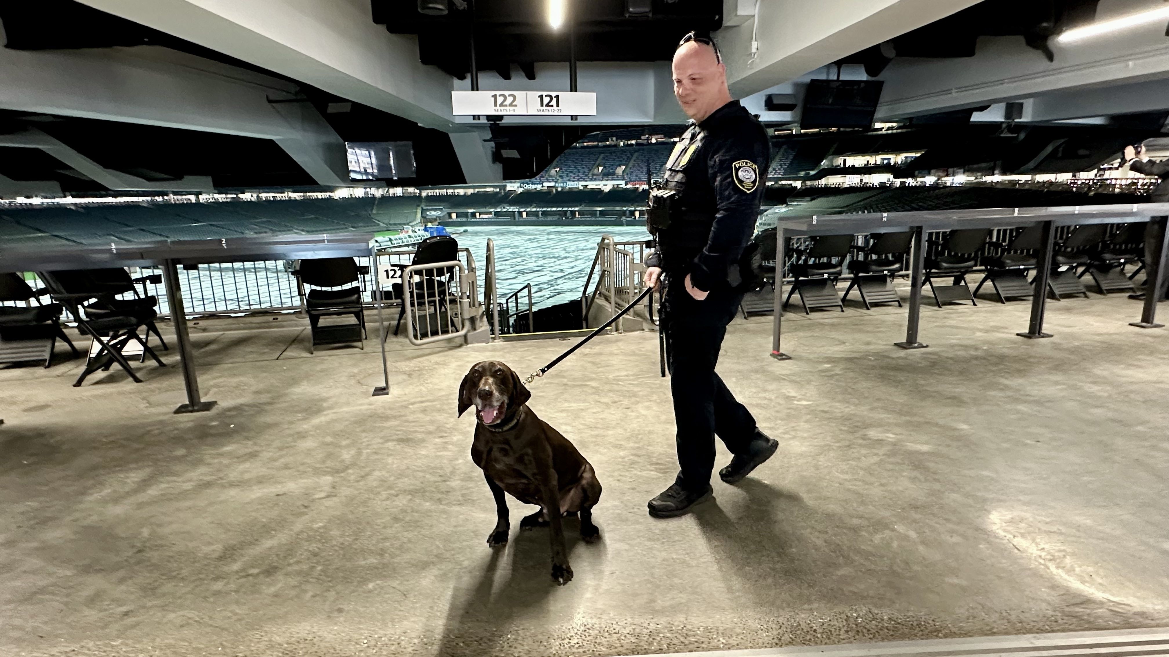 Police officer in tactical gear walks a brown Labrador on a leash inside a large stadium; empty seats surround them and a 121-122 sign hangs overhead.