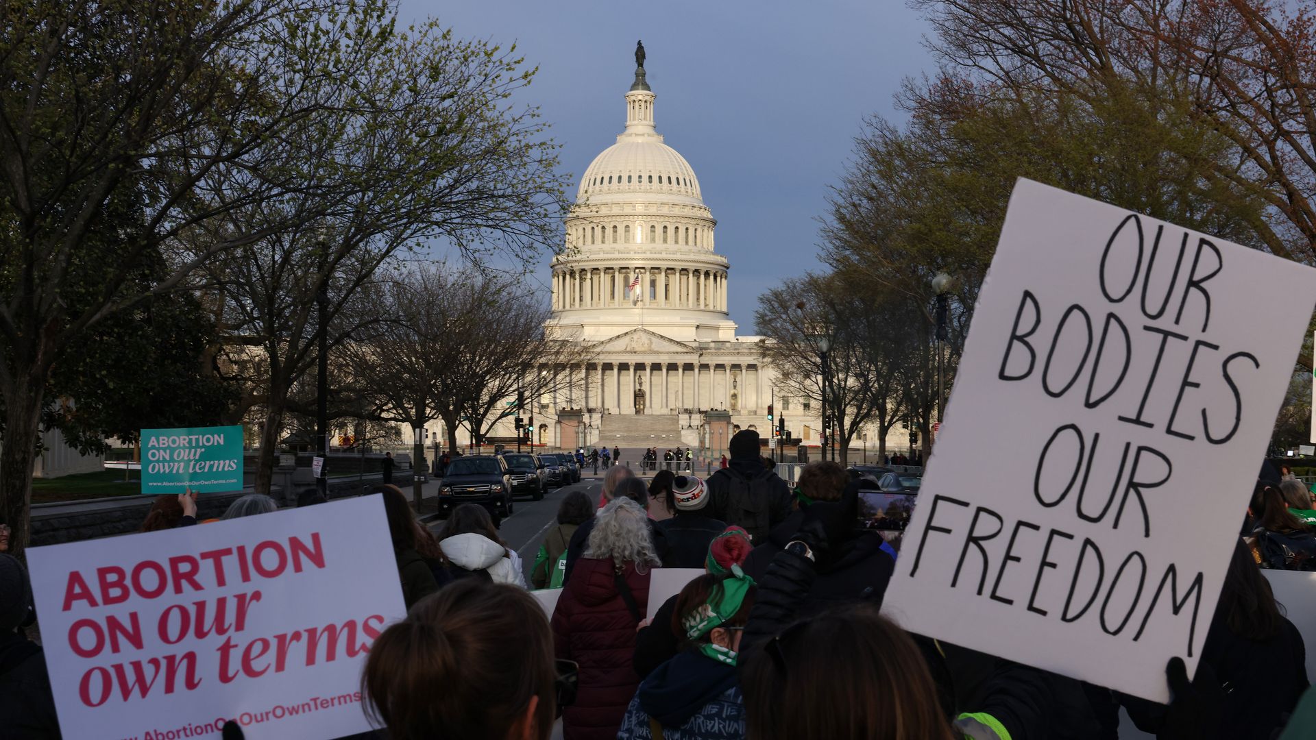 during the "Bans Off Our Mifepristone" 