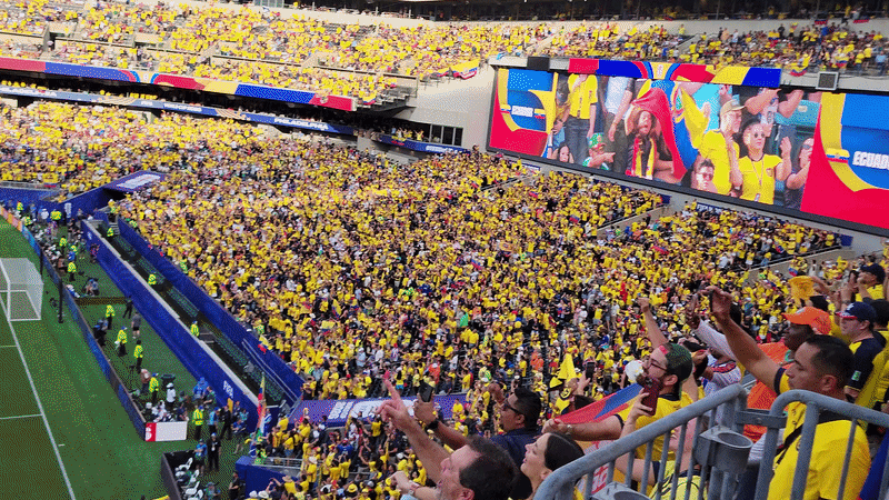 A sea of yellow jerseys fill Philadelphia Stadium for the Ecuador-Ivory Coast World Cup match.
