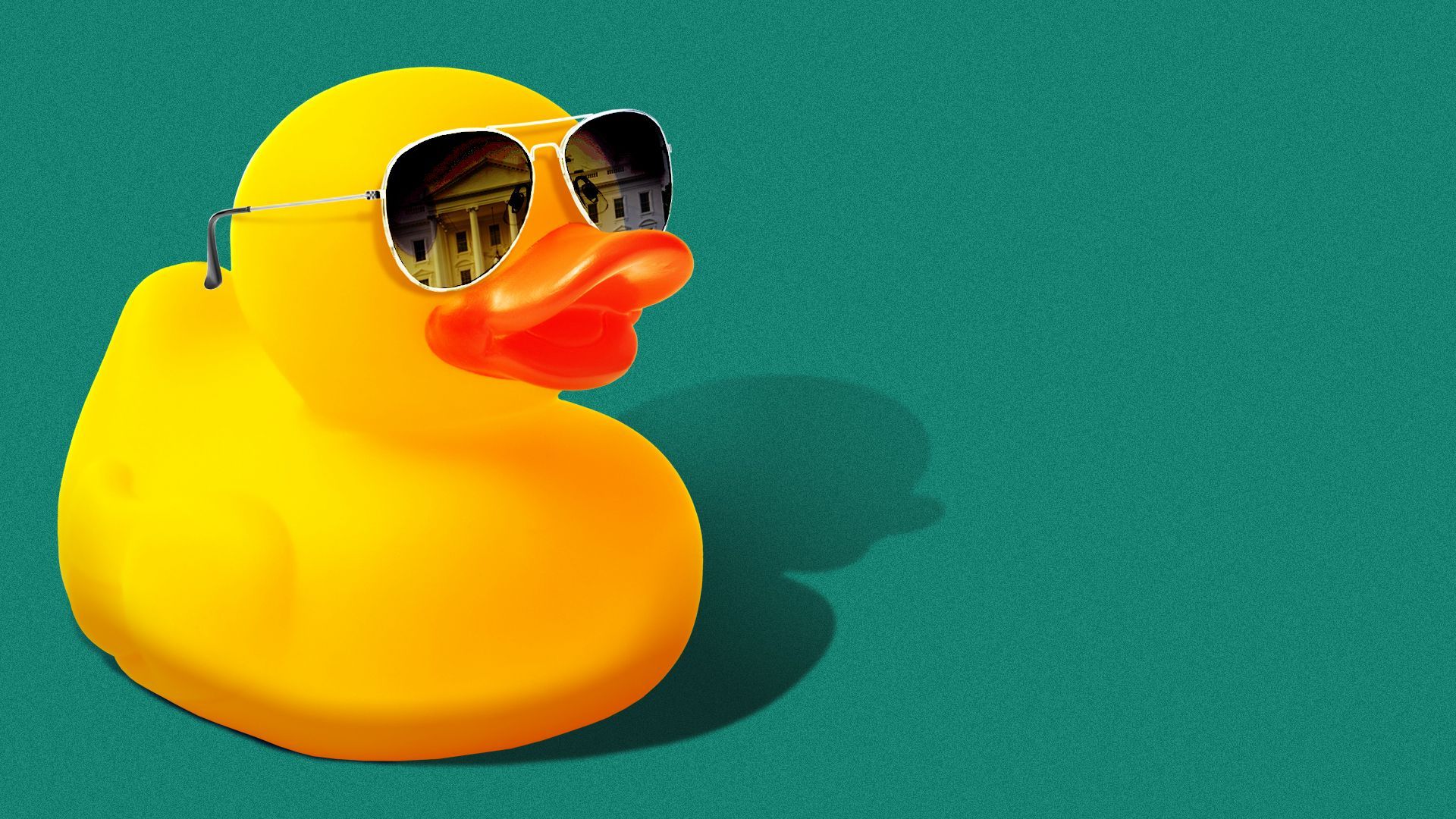 Illustration of a rubber duck wearing aviators reflecting the White House