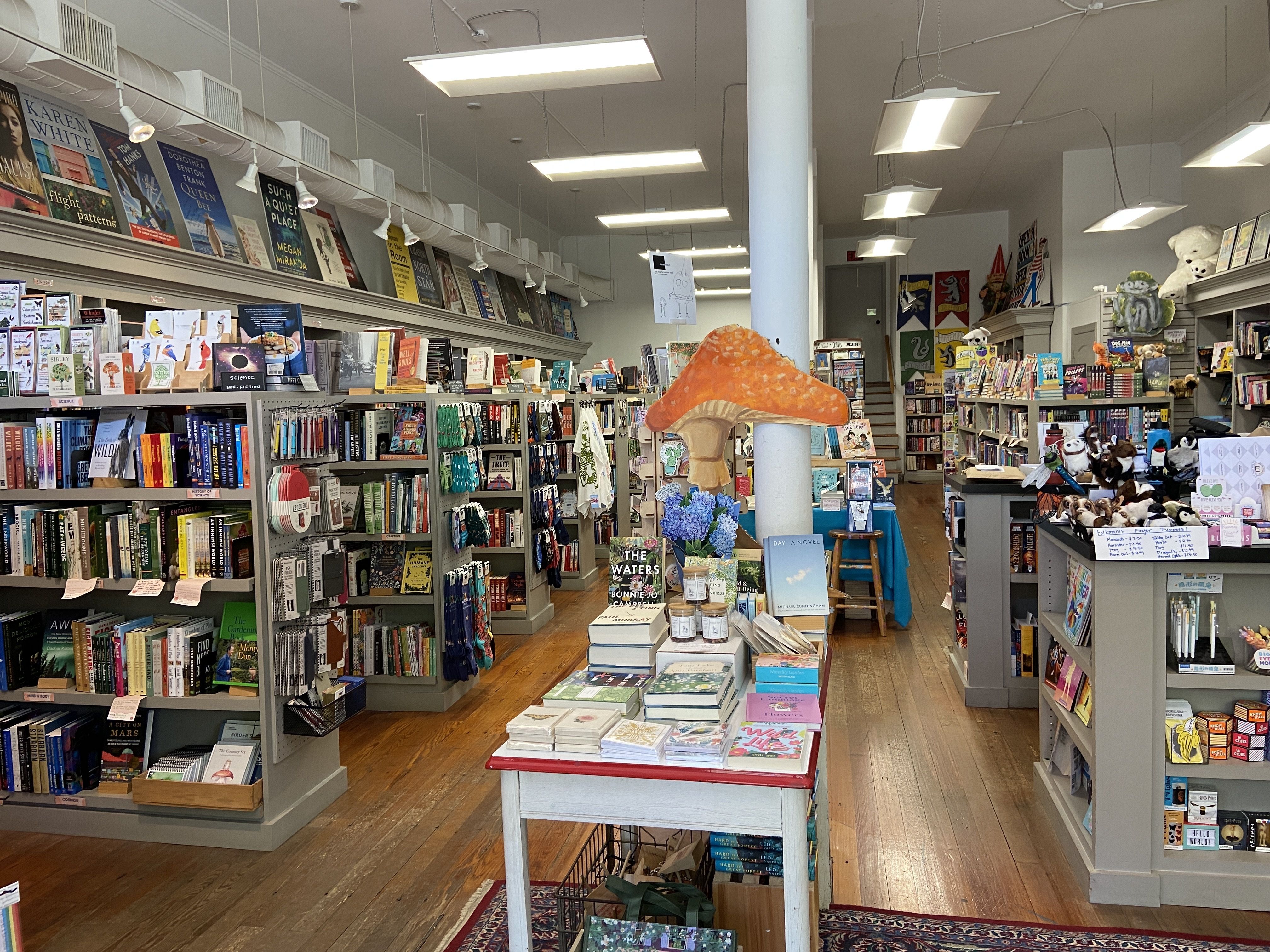 Main Street books interior.