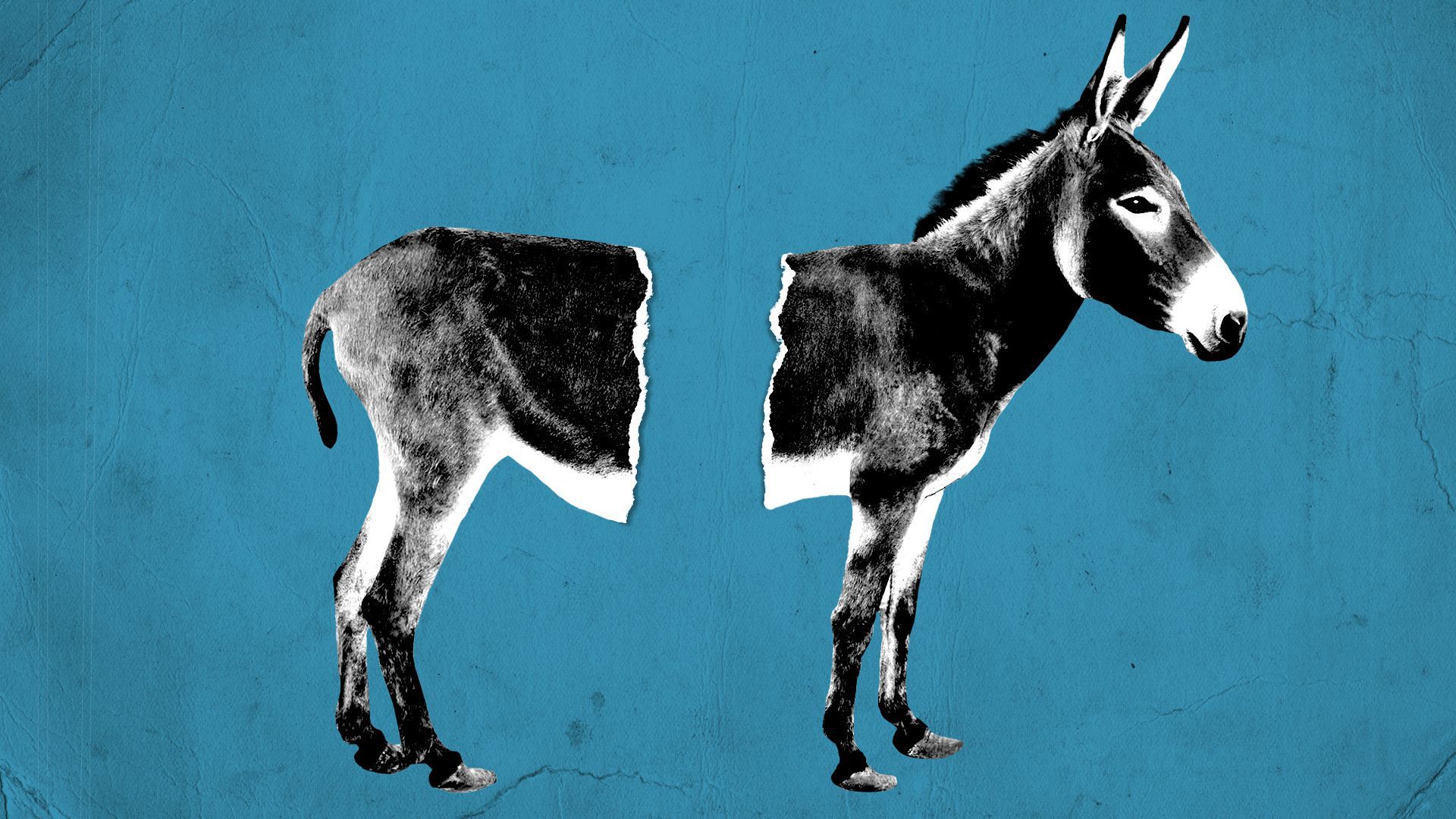 Illustration of a donkey torn in half.