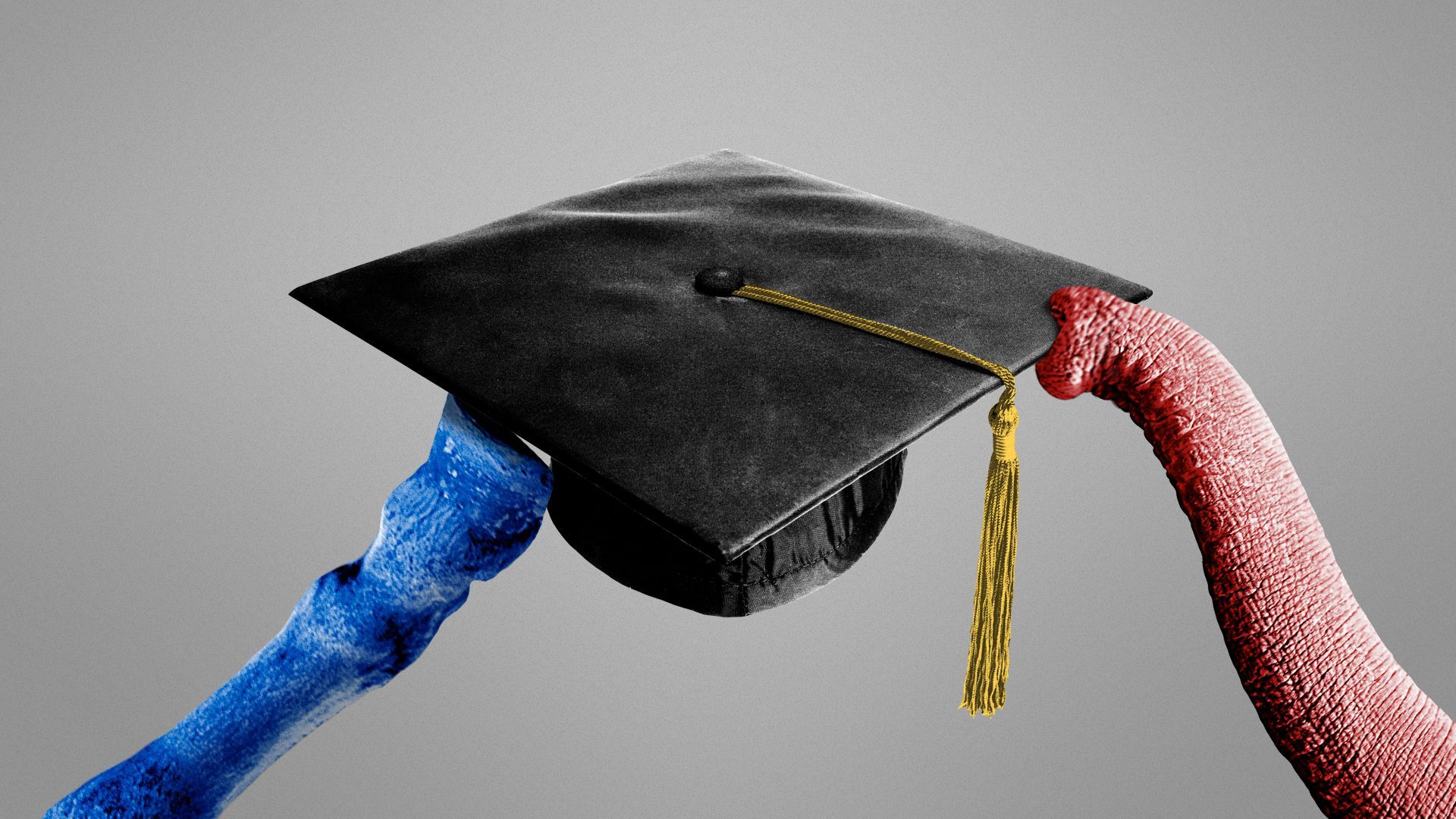 Illustration of a donkey hoof and elephant trunk holding up a graduation cap.