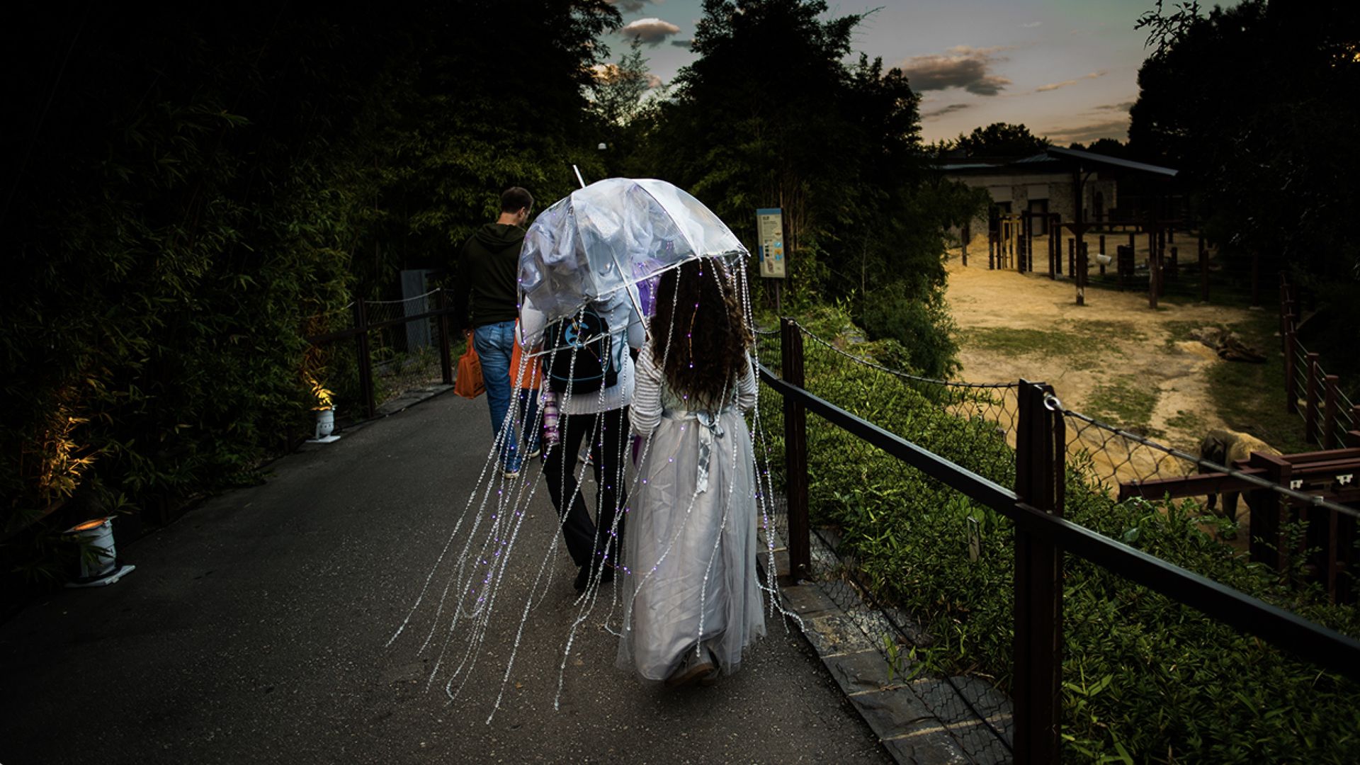 Young people trick or treating along a candlelit path at the National Zoo's Boo at the Zoo event.