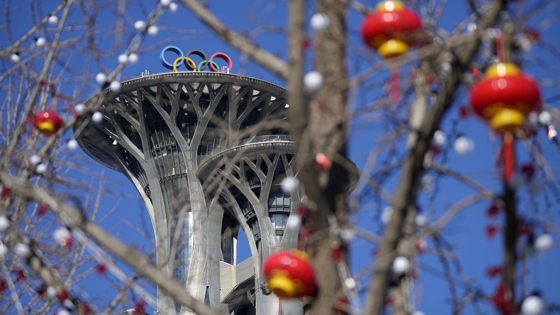 Lantern decorations hang on trees on the Olympic Green near the Olympic Tower in Beijing