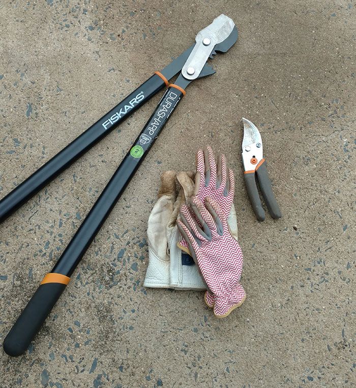 pruning-tools