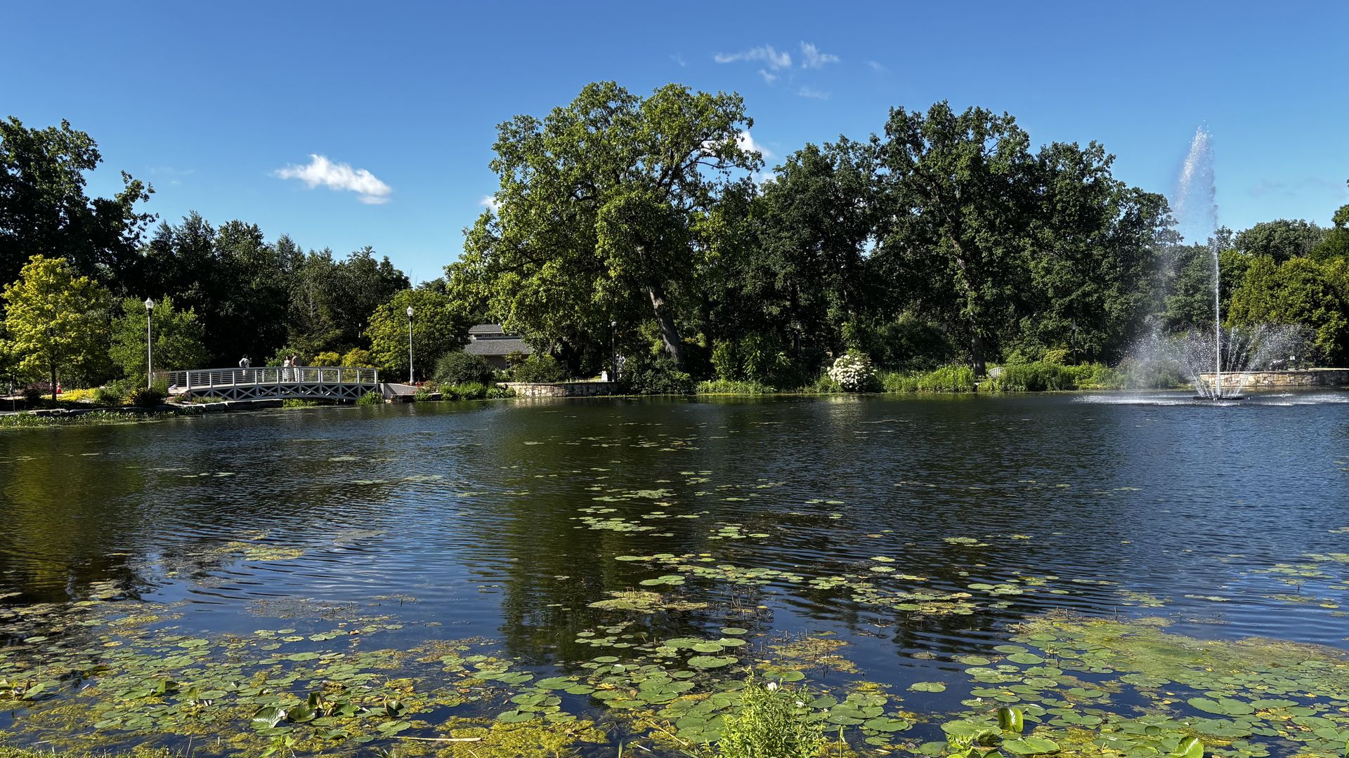 A sunny park lakeside scene with a wooden bridge on the left, lush green trees lining the bank, a tall water fountain to the right, and water lilies floating on the calm lake.
