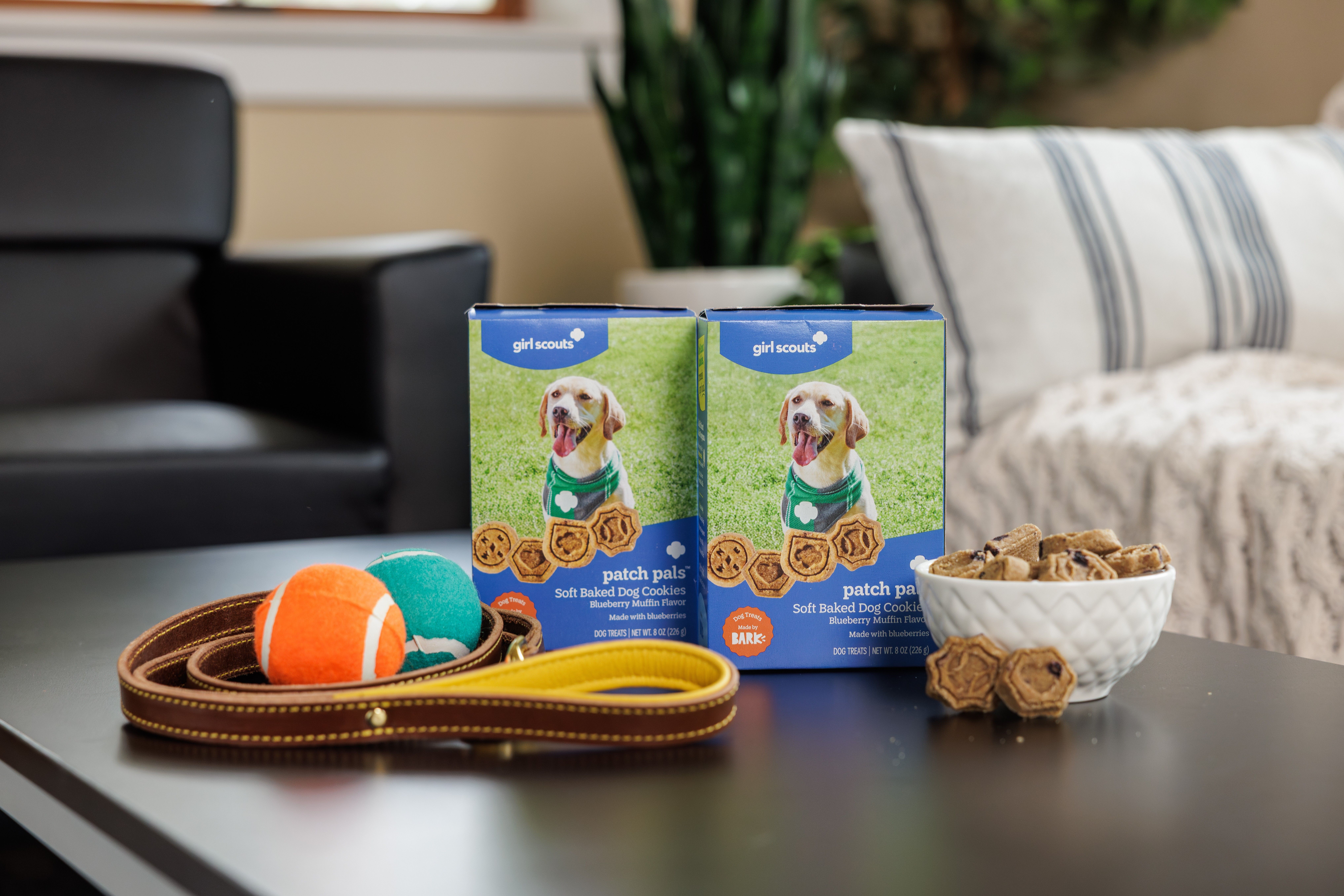 This Aug. 19, 2026 image provided by Girl Scouts of the USA shows their cookies for dogs – dubbed Patch Pals. (Girl Scouts of the USA via AP)