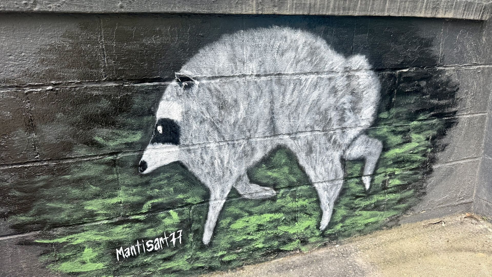 Graffiti mural of a raccoon with long legs and a short body on a rough concrete wall, with green paint accents at the bottom and a white signature tag near the lower left; a railing sits above.