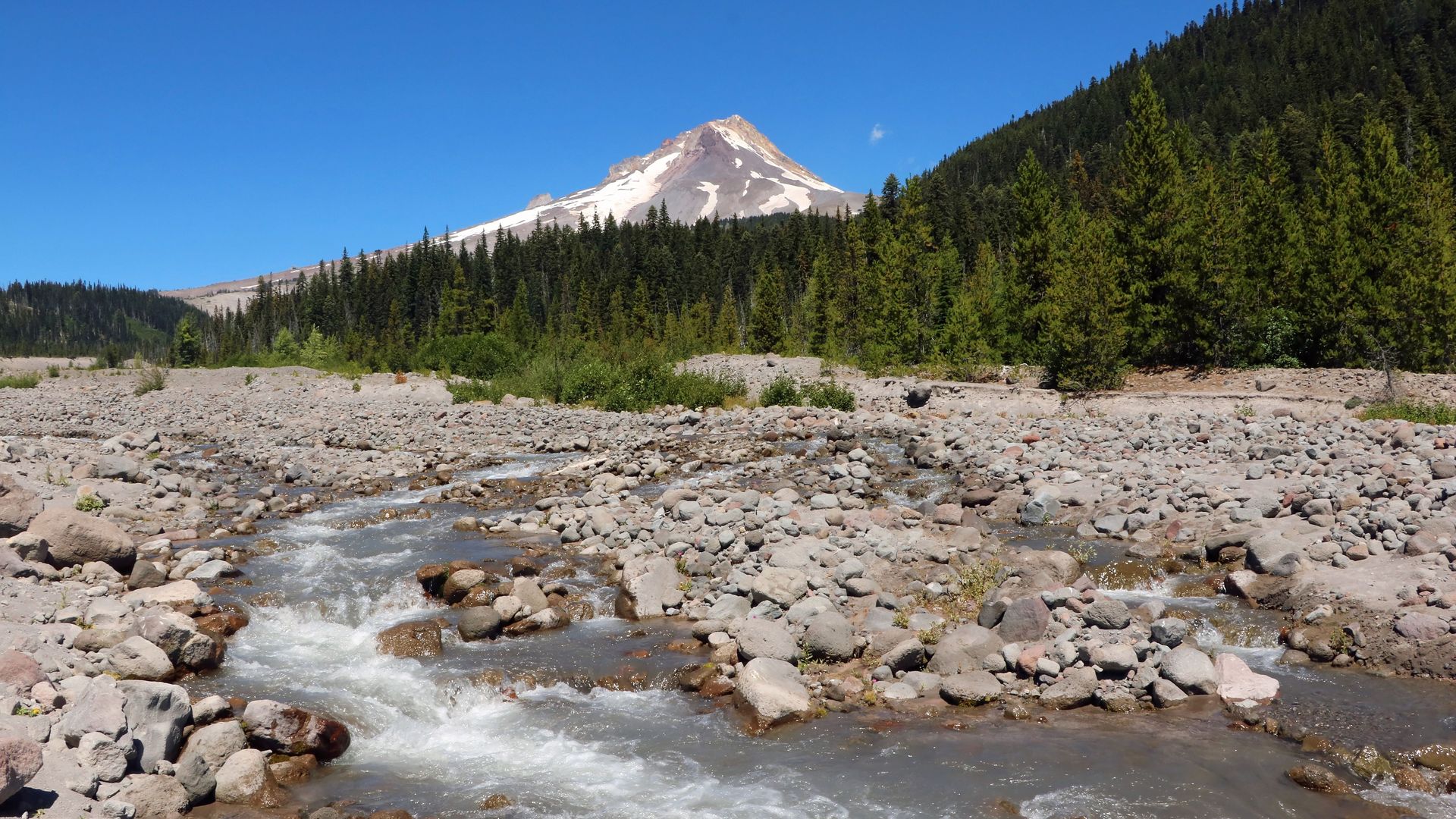 A rocky, shallow stream flows through a pebble-filled riverbed in the foreground, flanked by evergreen trees; a snow-capped mountain rises under a bright blue sky in the distance.
