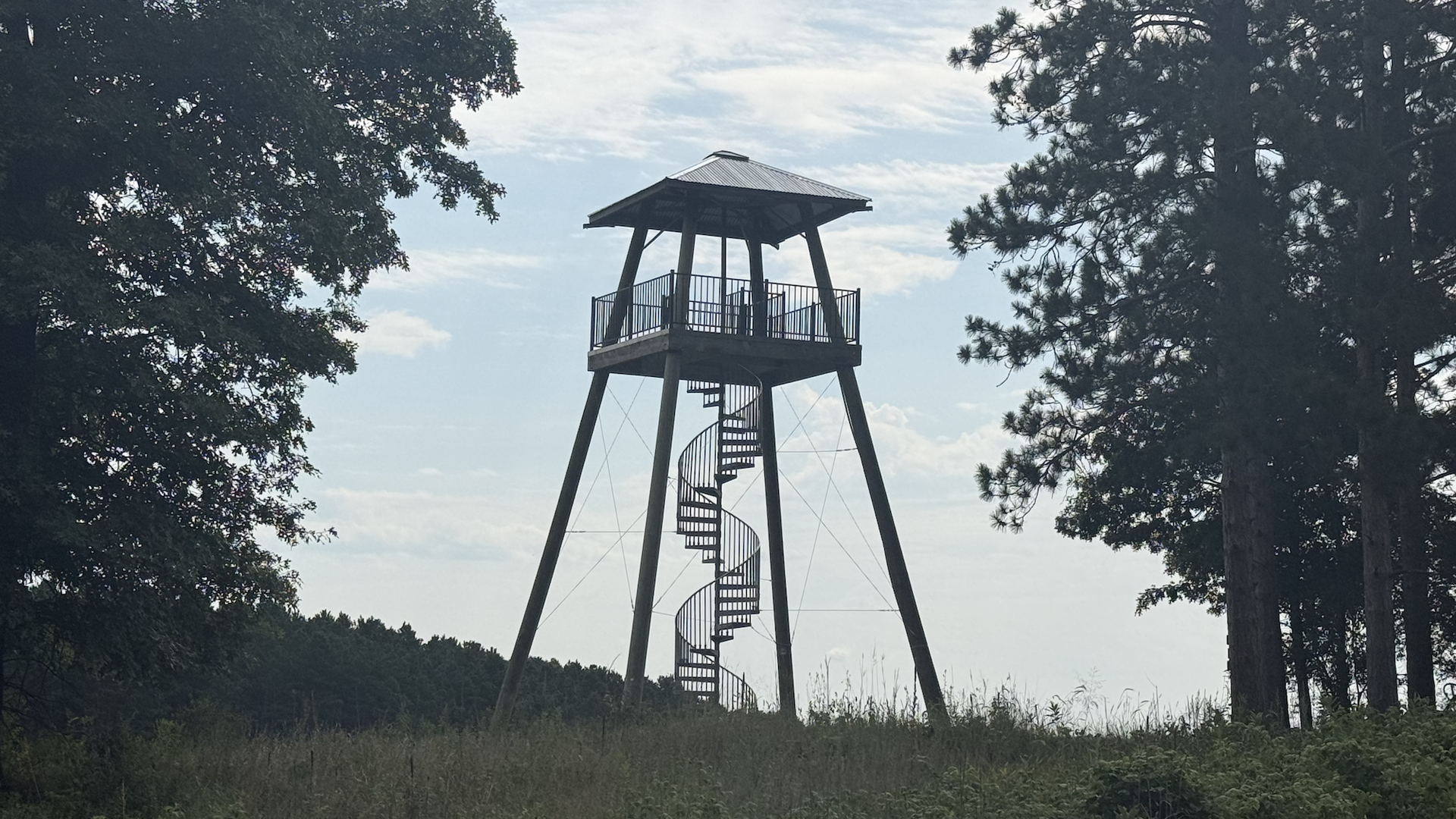 A tall wooden observation tower with a spiraling staircase rises above a grassy field, framed by trees, under a blue sky with scattered clouds.