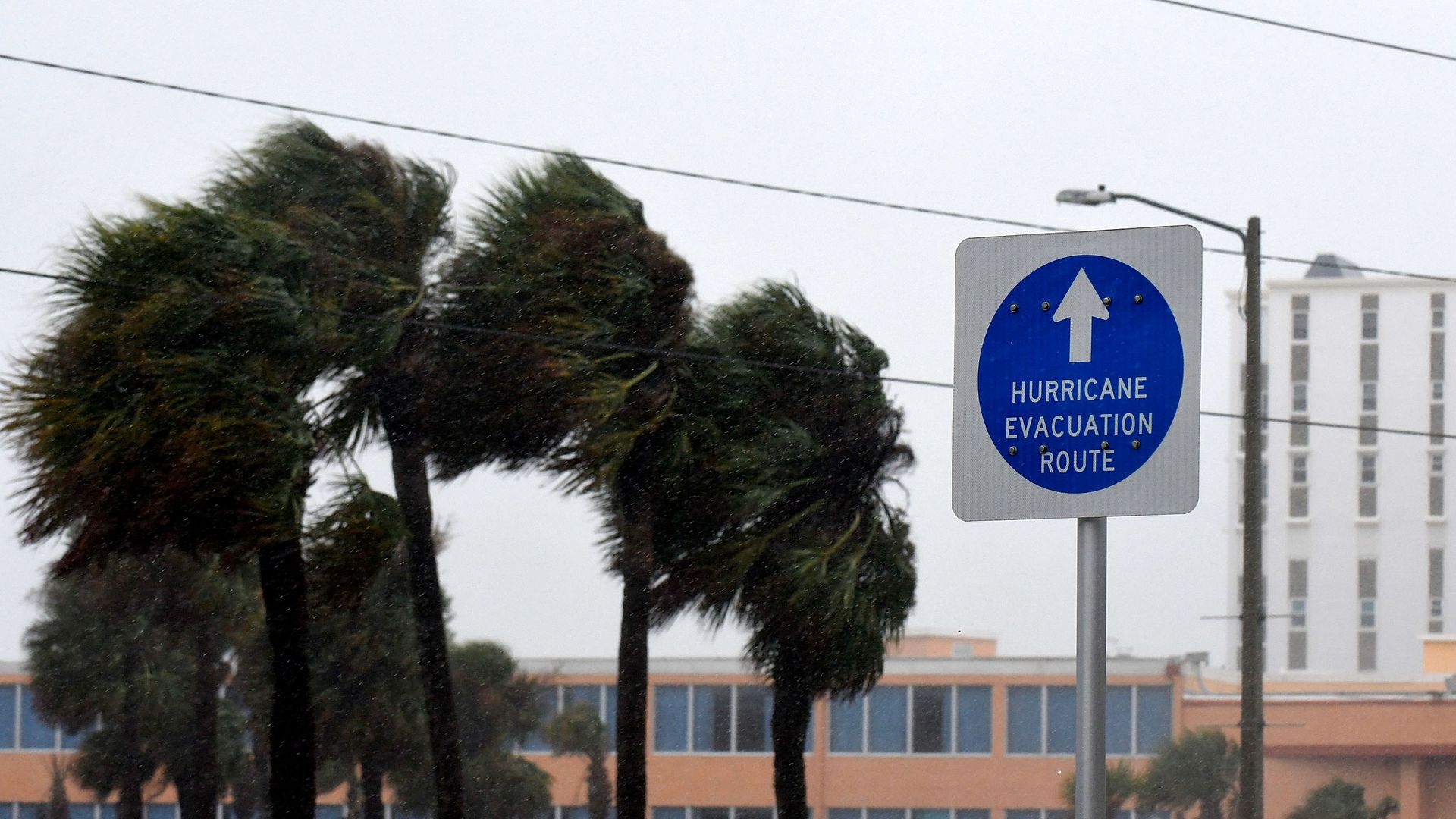 Photo of a sign that says "Hurricane evacuation route" standing against the wind blowing trees away