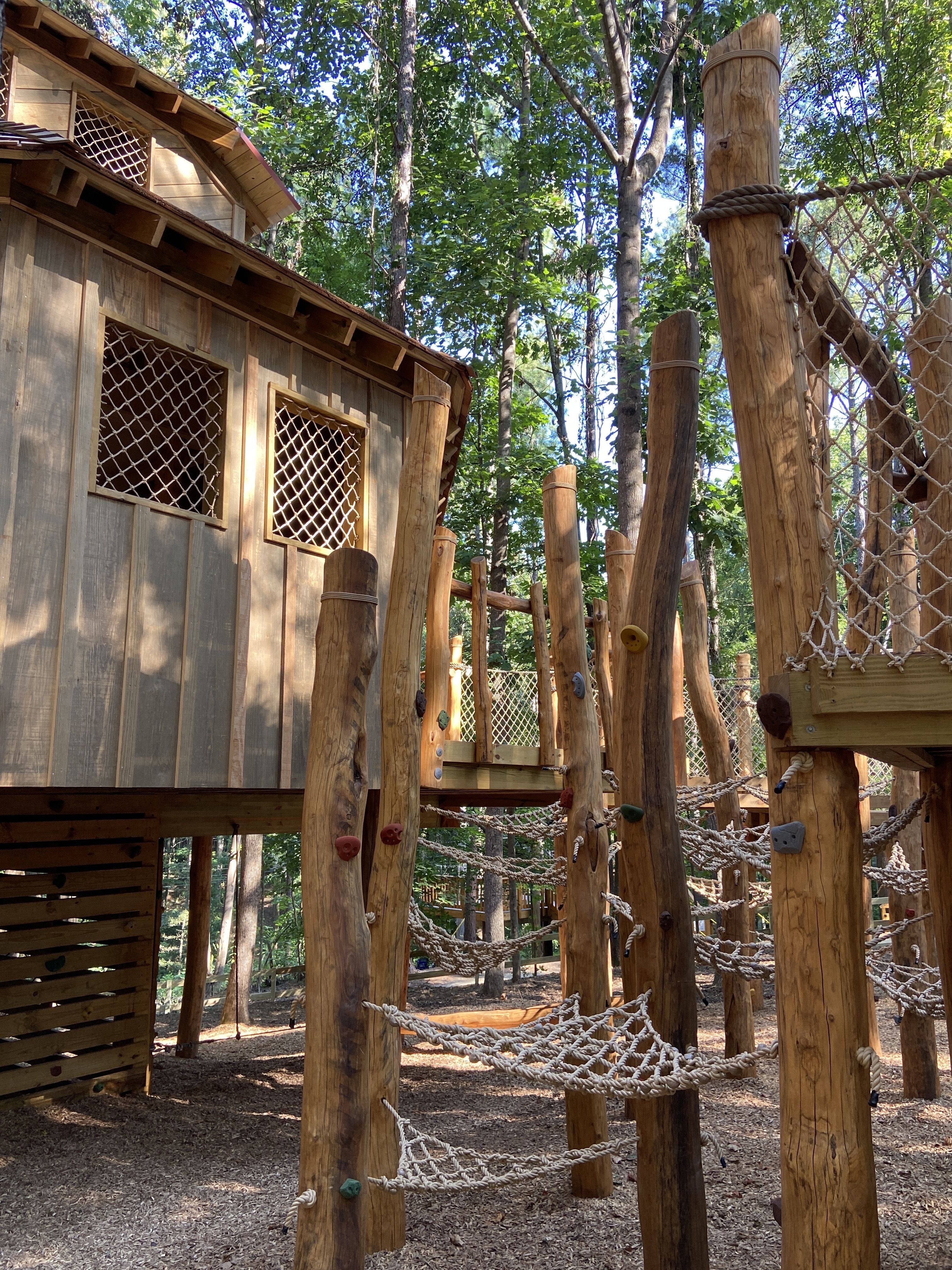 Ropes obstacles around a treehouse in Wildwoods at the Whitewater Center.