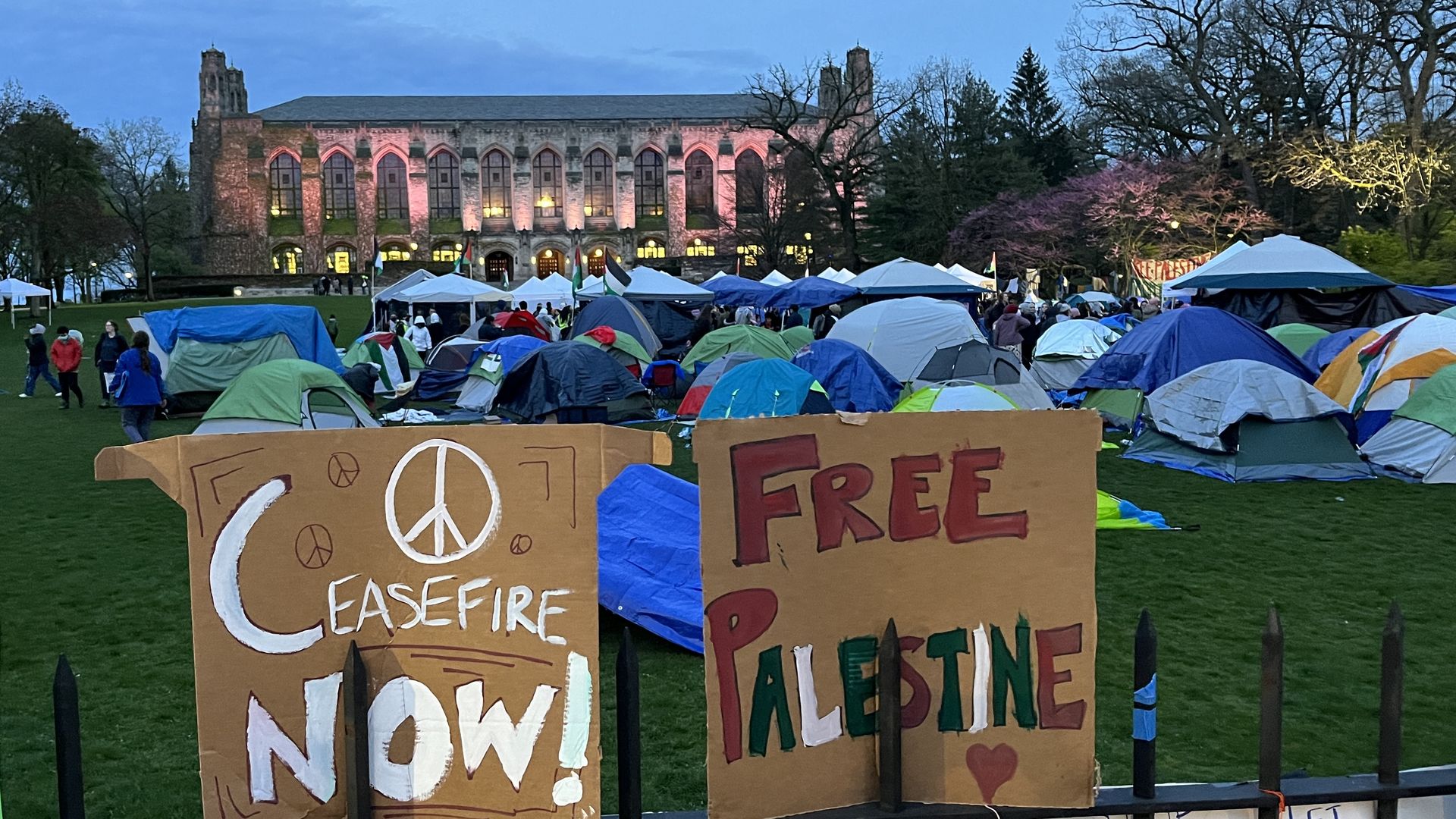 pro-Palestinian college encampment 