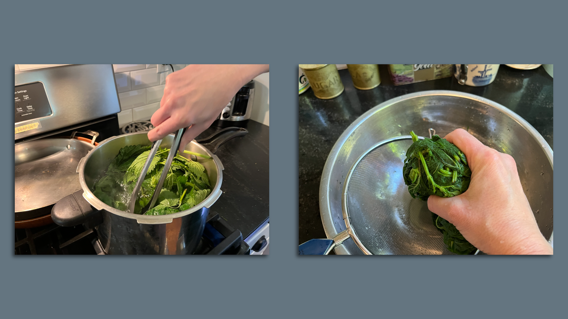 Hand using tongs to lift cooked nettles out of a pot of water, then squeezing a handful of nettles.