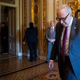 Cracks emerge in Democrats' unity on government shutdown