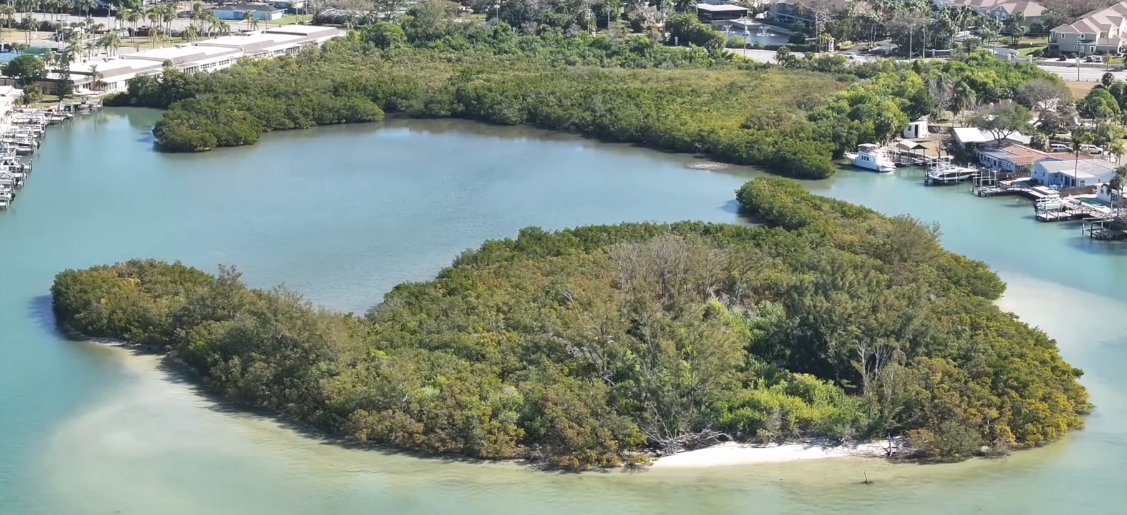 An aerial view of an island shrouded in green plants with a sandy shore, surrounded by turquoise water with coastal homes and docks in the edges of the frame.