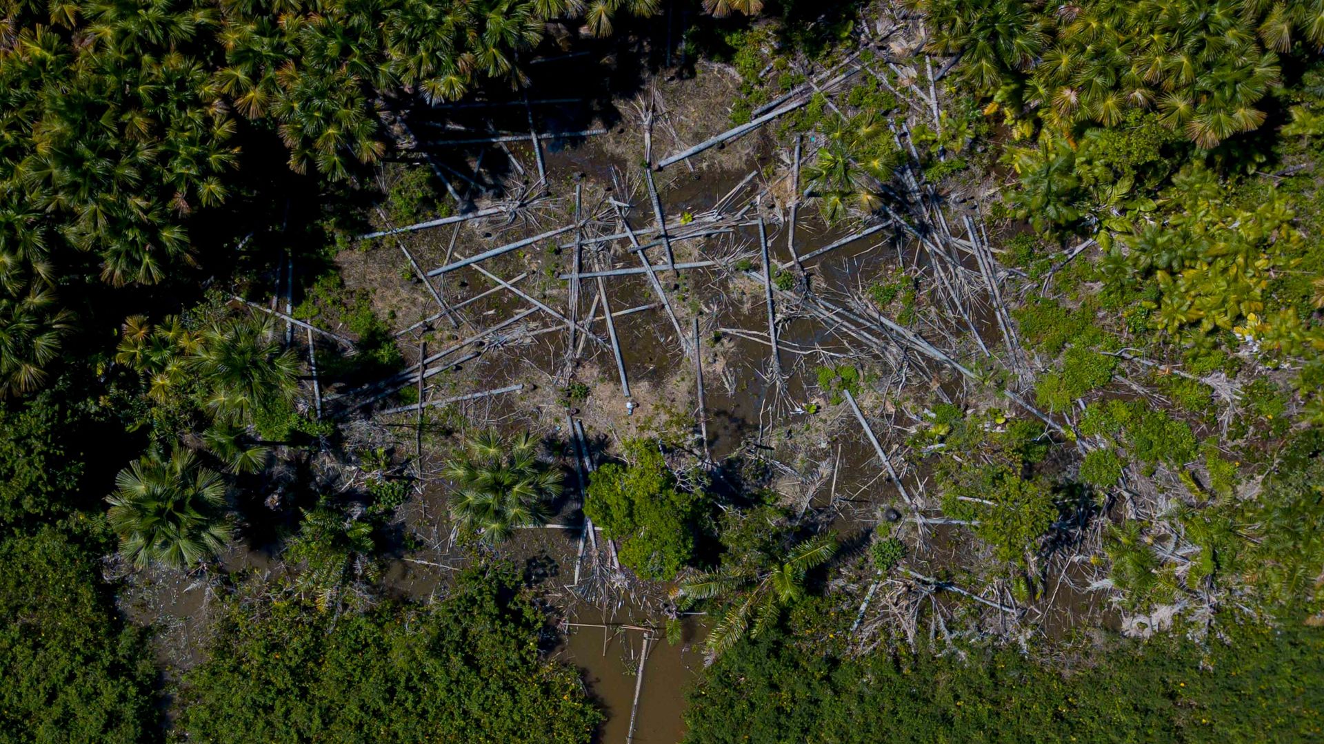  Aerial view of a deforested area in the municipality of Melgaco, Para State, Brazil, on July 30