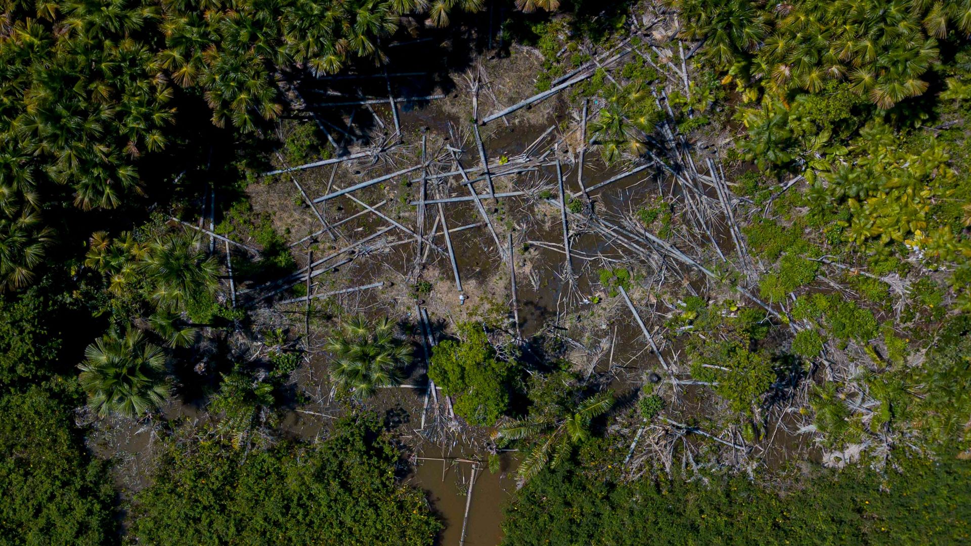 Aerial view of a deforested area in the municipality of Melgaco, Para State, Brazil, on July 30
