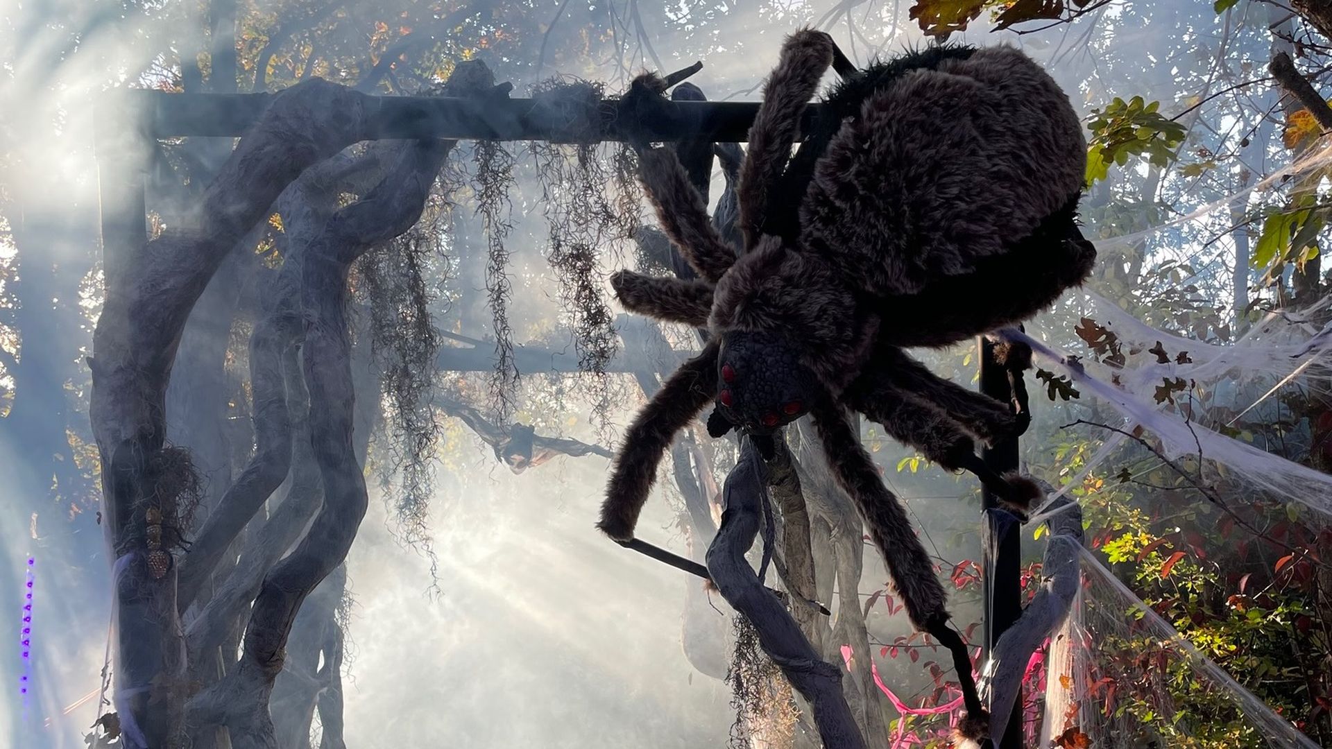 A fake spider hangs on a gate with fog backlit by sun.