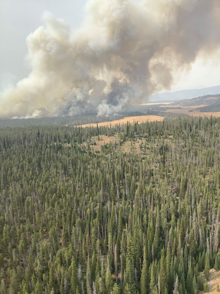The fire emergency is evolving rapidly; the Trap Fire was reported on the Sawtooth National Forest Sept. 14