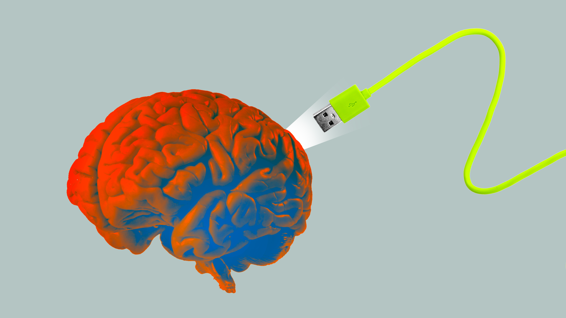 A usb cable plugging into a brain.