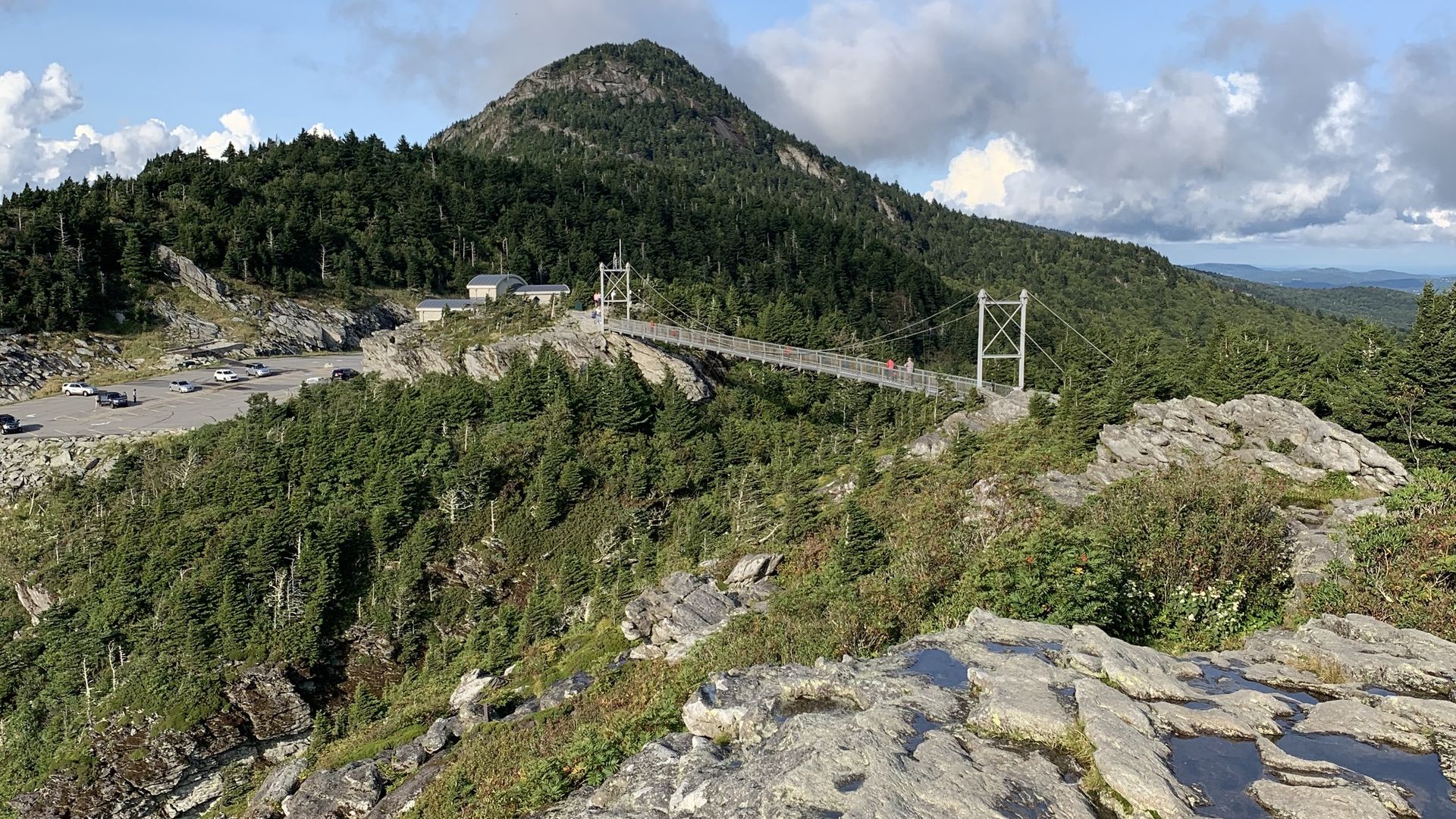 Grandfather Mountain.