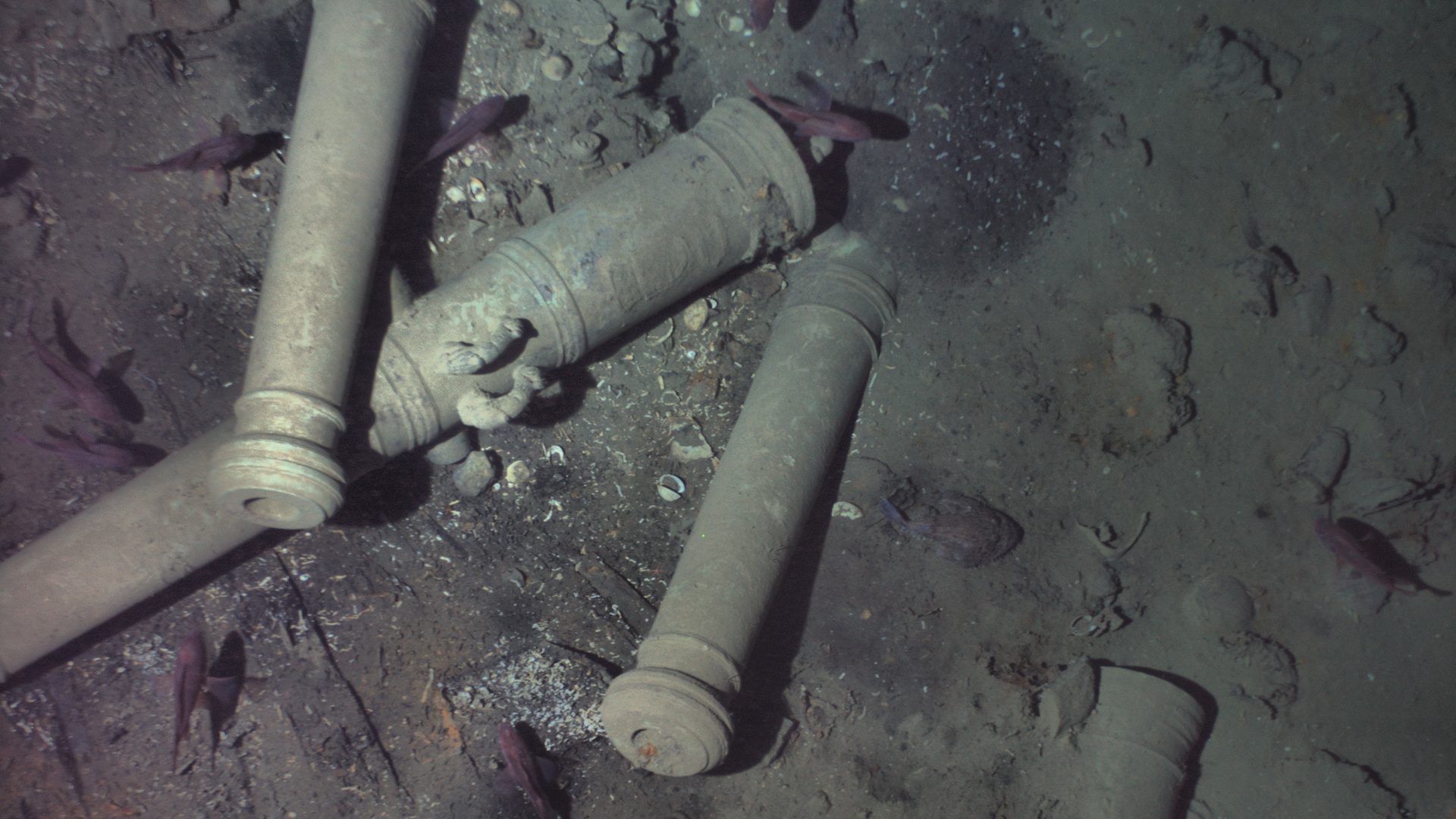 Image from an autonomous underwater vehicle, showing the wreckage of the San Jose's cannons.