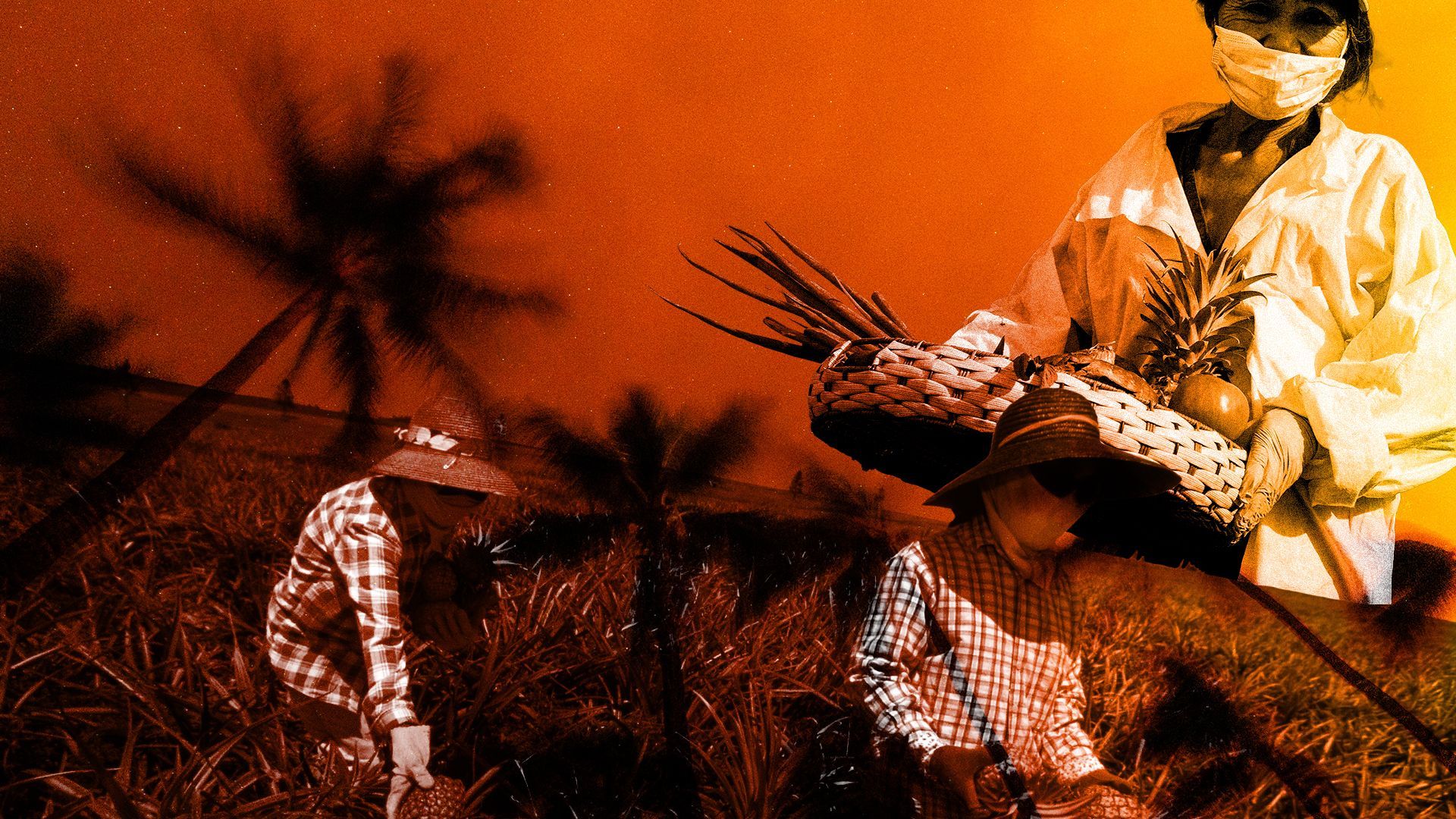 Photo illustration of farmers in Hawai'i carrying crops overlaid with a fiery orange landscape.