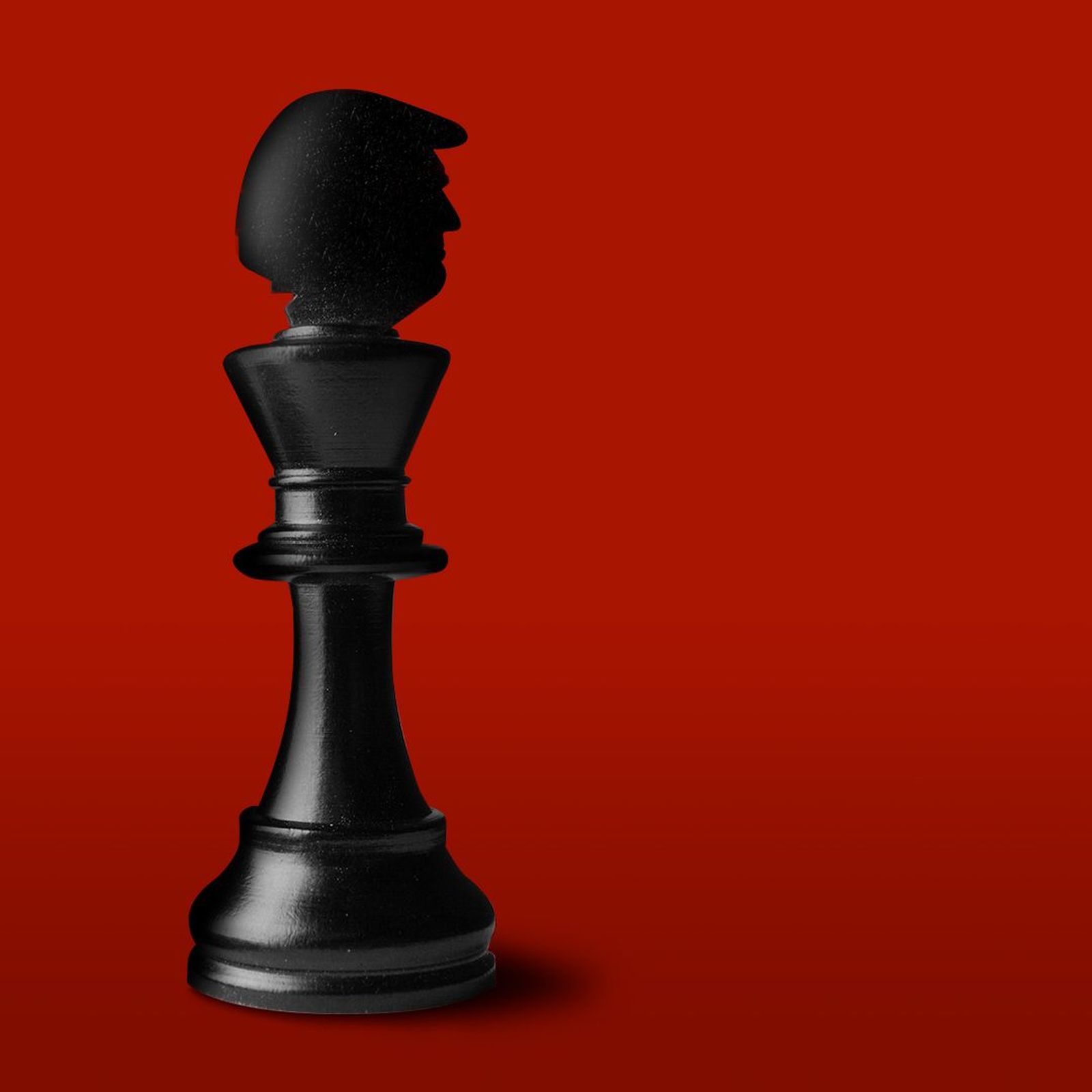 Image of a new chess piece called advisor