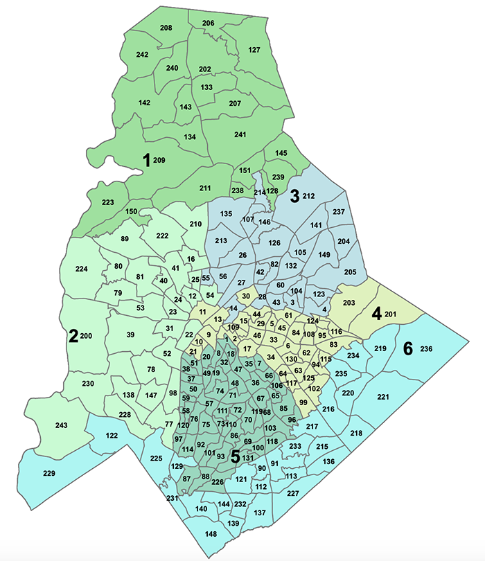 County commission districts 2020