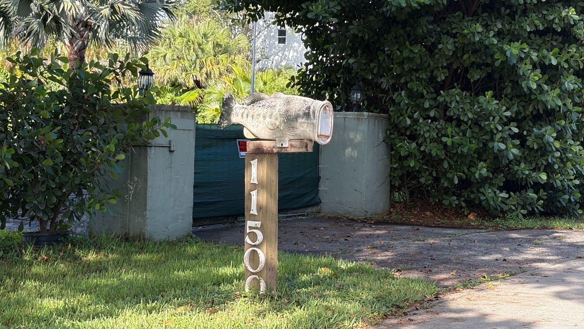 Weathered, oversized fish mailbox on a wooden post