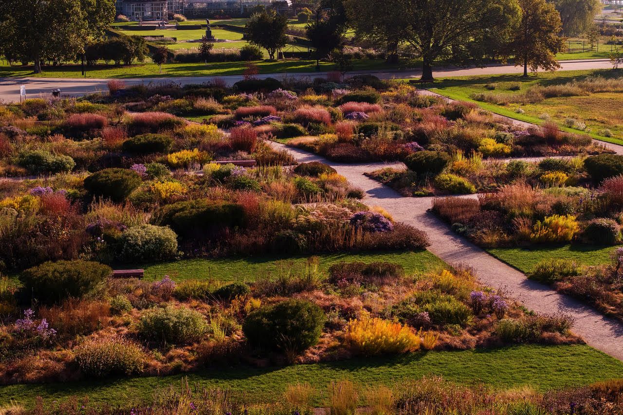 An expansive sunlit garden with winding gravel paths, colorful grasses and shrubs. 