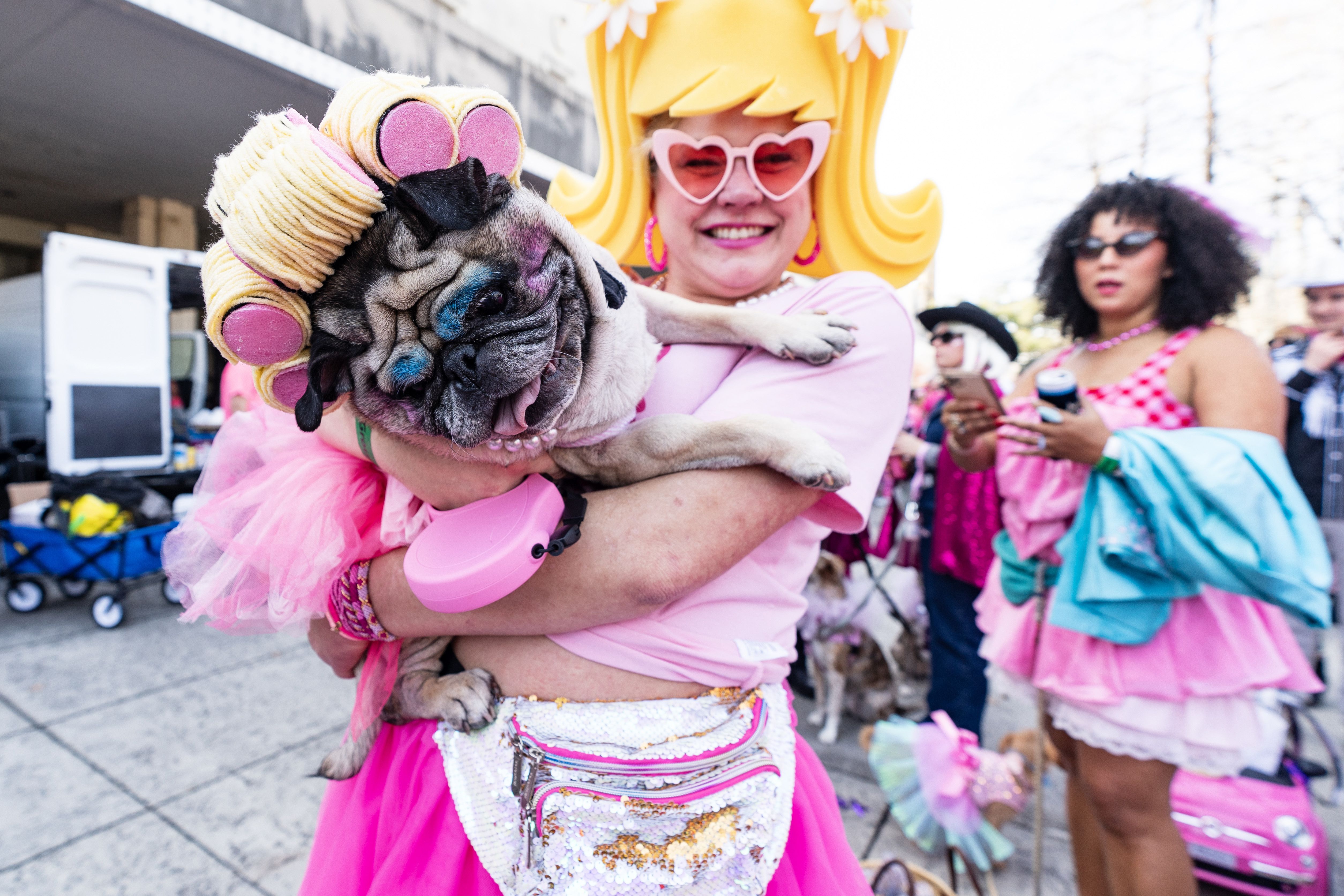 A costumed parade-goers holds a pug, wearing hair curlers.