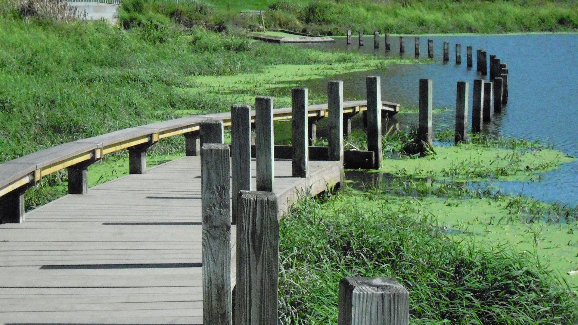 A photo of Greenwood Park in Des Moines.