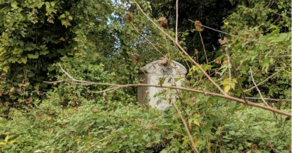 A grave, hidden behind overgrown weeds and trees.