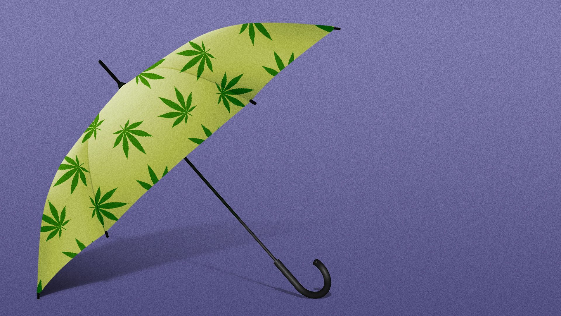 Illustration of an umbrella with a repeating pattern of marijuana leaves.