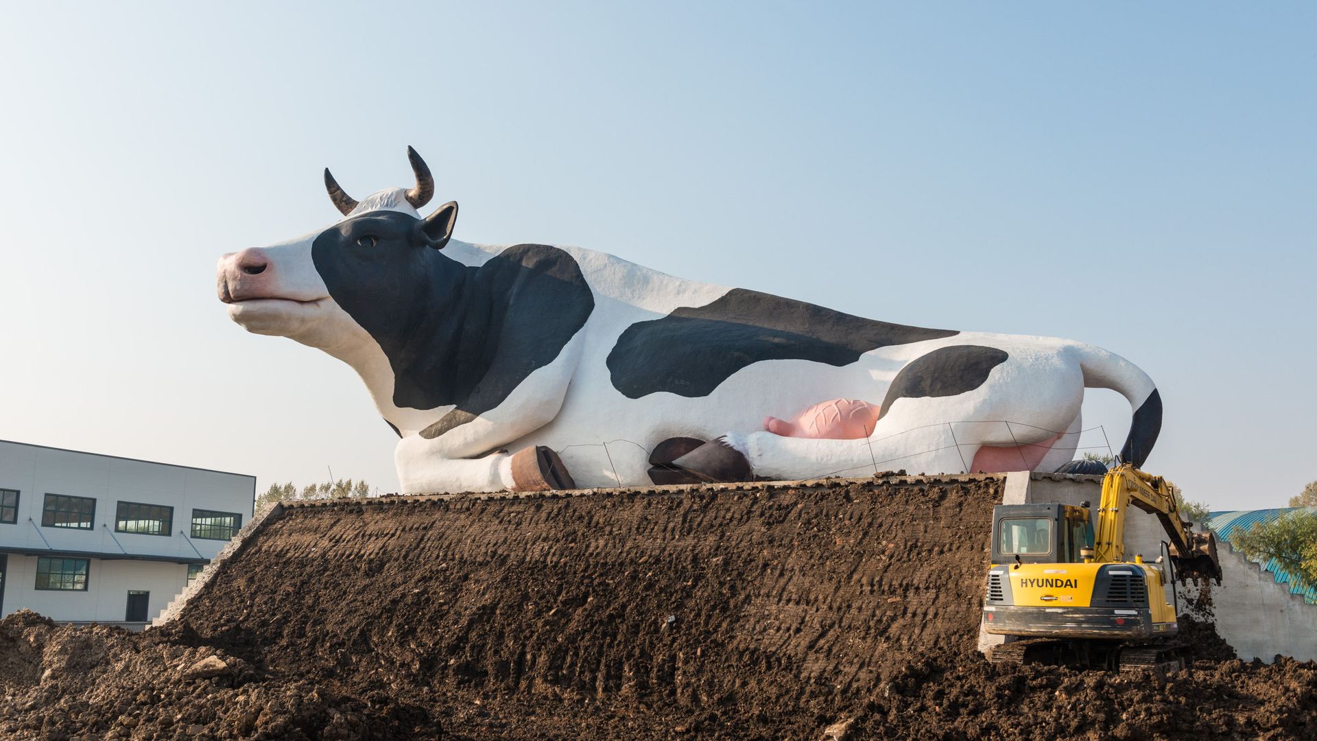 A giant dairy cattle statue.