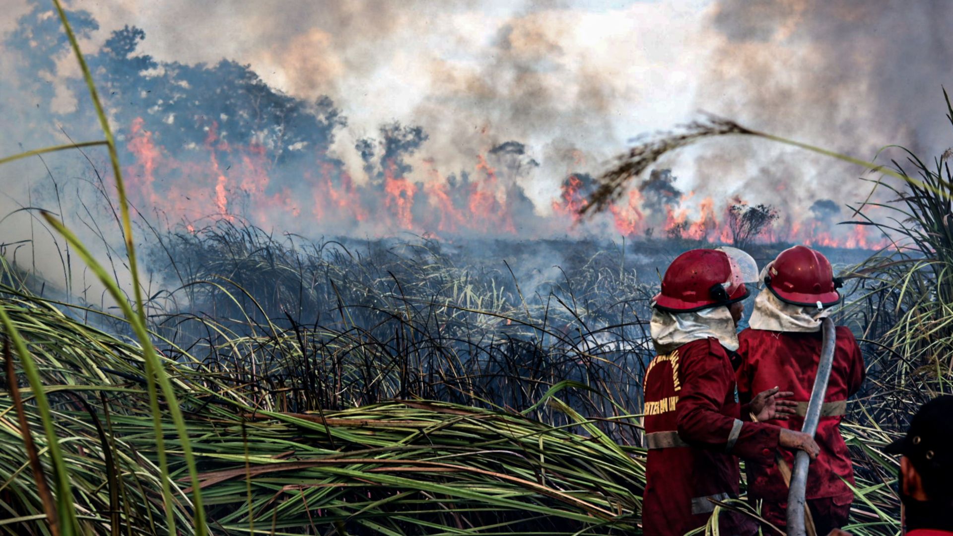 Firefighters work to extinguish a peat fire in South Sumatra, Indonesia in 2021