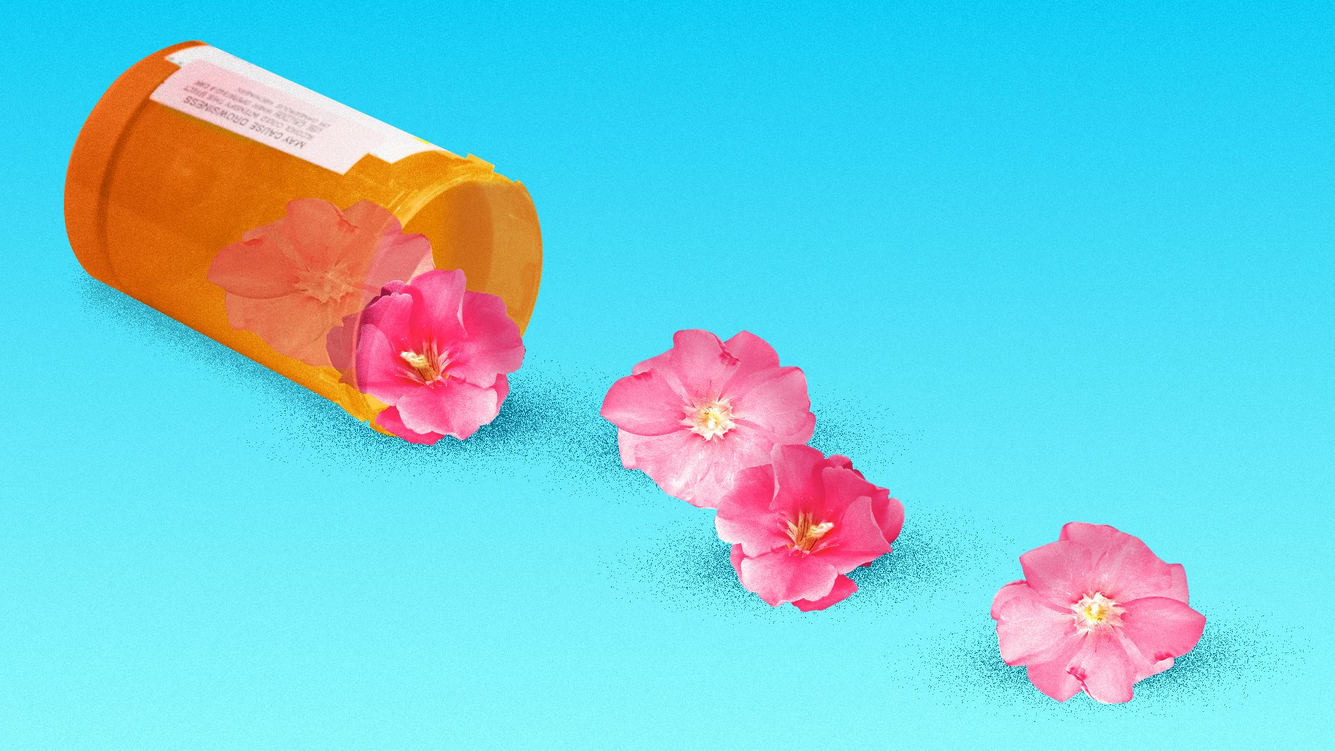 Illustration of a medicine bottle tipped on its side with oleander flowers spilling out.