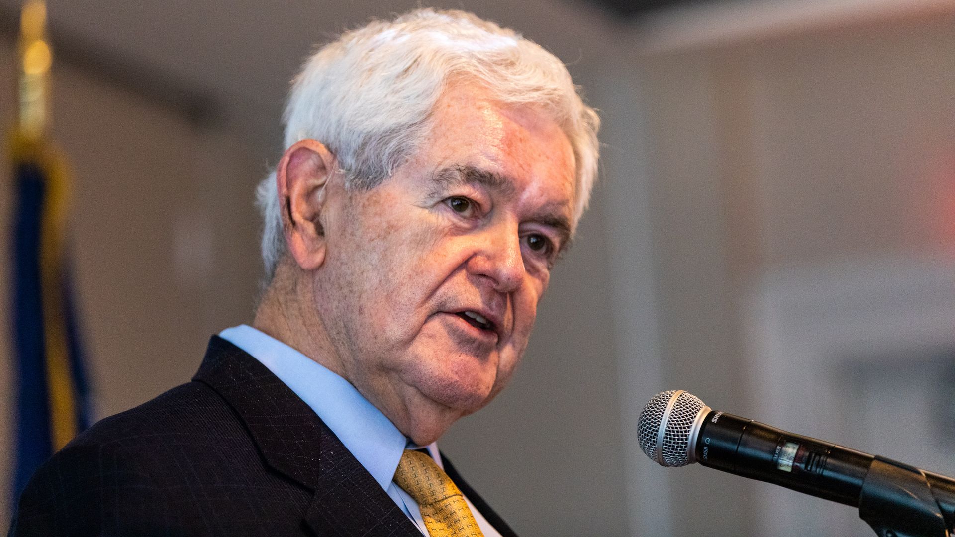 Newt Gingrich, former speaker of the U.S. House of Representatives, speaks during a an event, in Duluth, Georgia, U.S., on Tuesday, March 29, 2022.