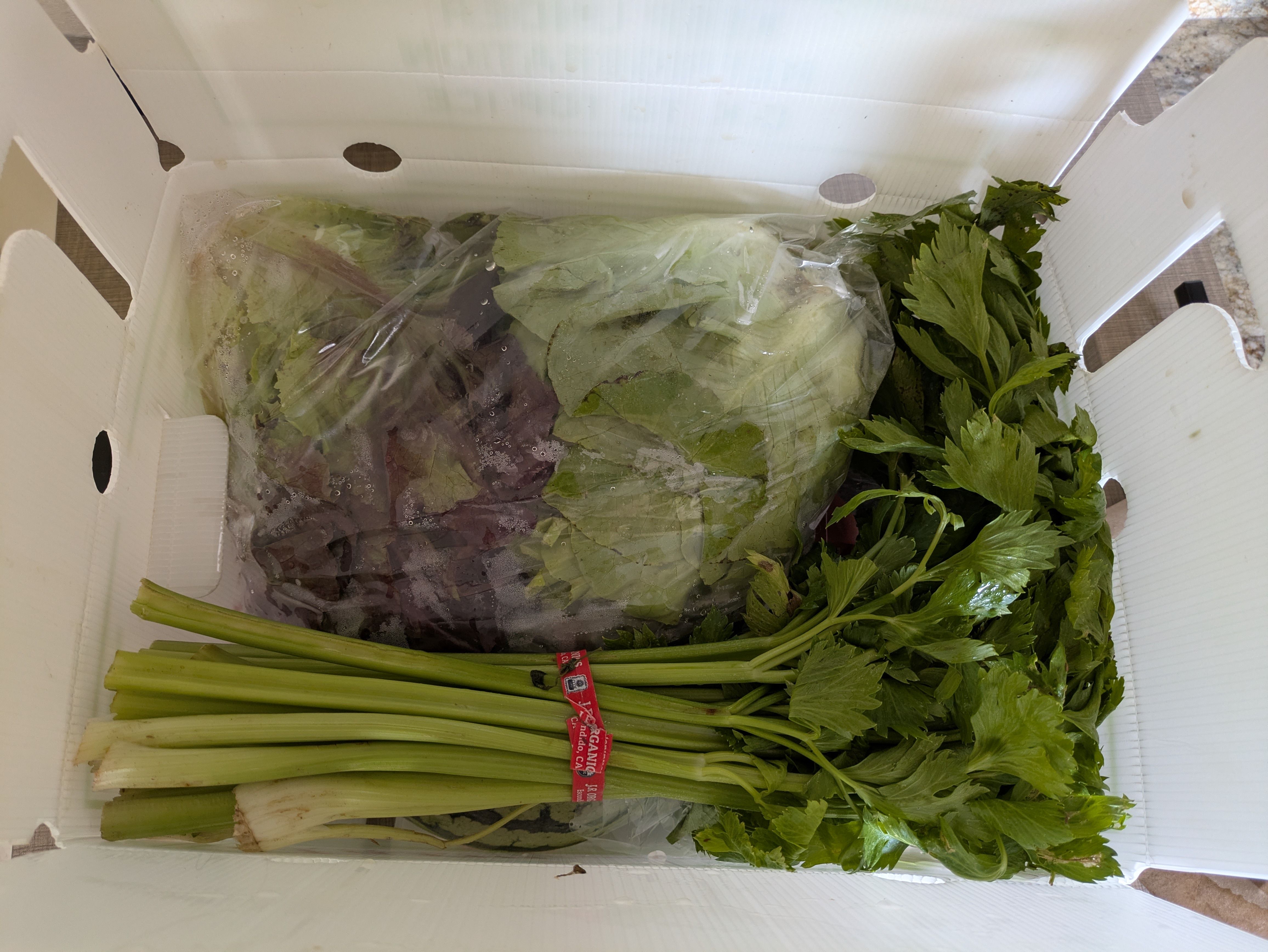 Inside a white cardboard box, a clear plastic bag of mixed greens sits among fresh celery stalks with leafy tops.