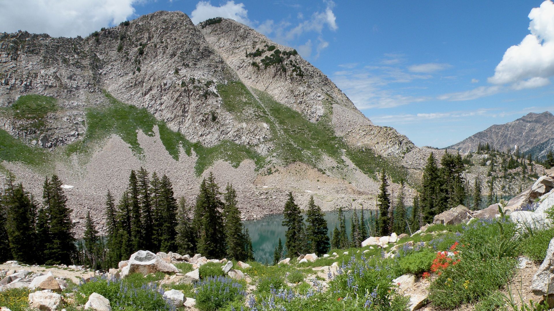 Rocky mountain slopes with green patches overlook a turquoise alpine lake; evergreen trees line the rocky shore, colorful wildflowers in the foreground, under a blue, partly cloudy sky.