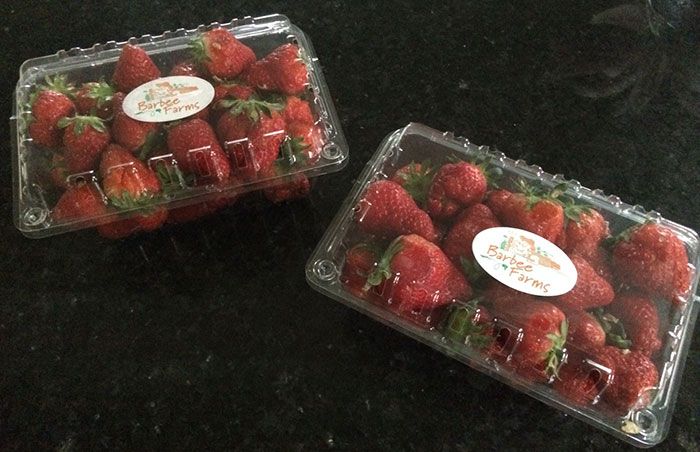 barbee-farms-strawberries