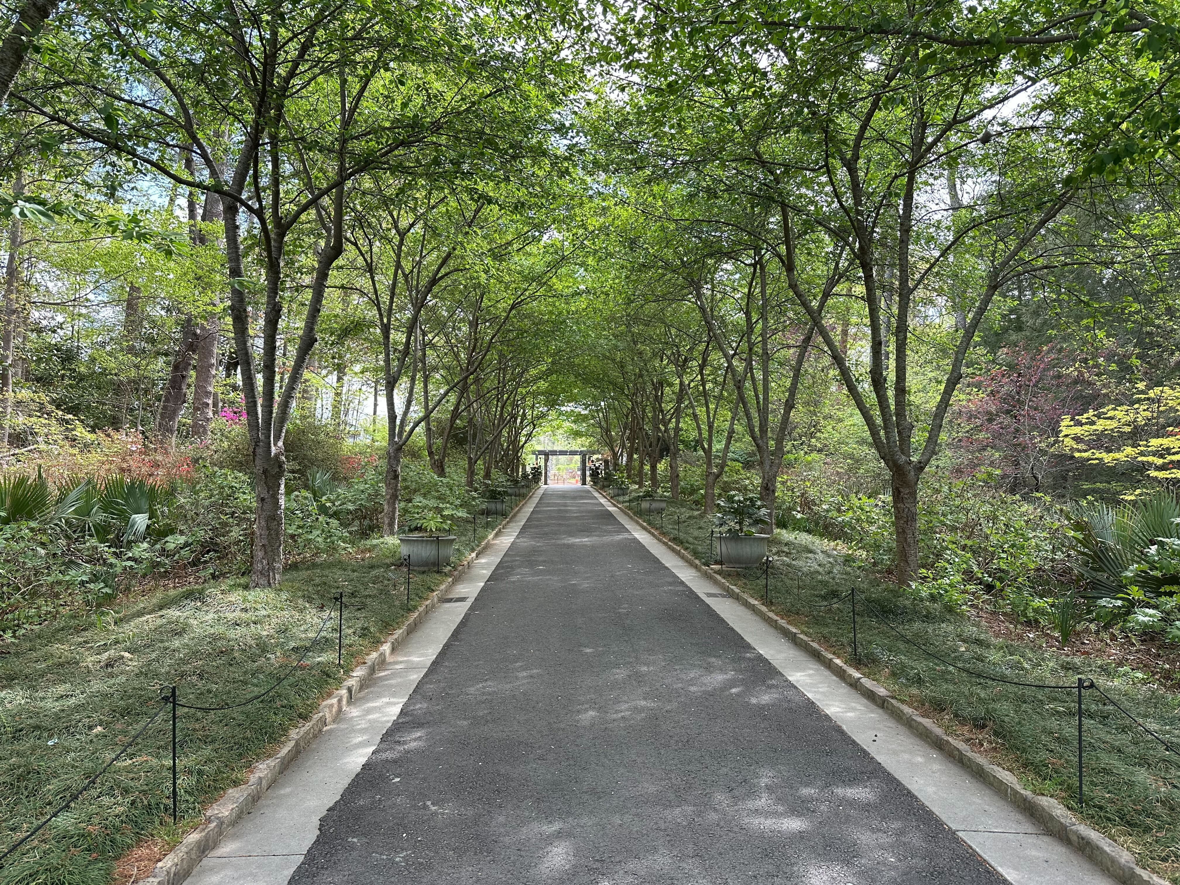 Shaded park path flanked by trees on both sides, lush green foliage overhead and potted plants along the edges, leading to a distant gate.