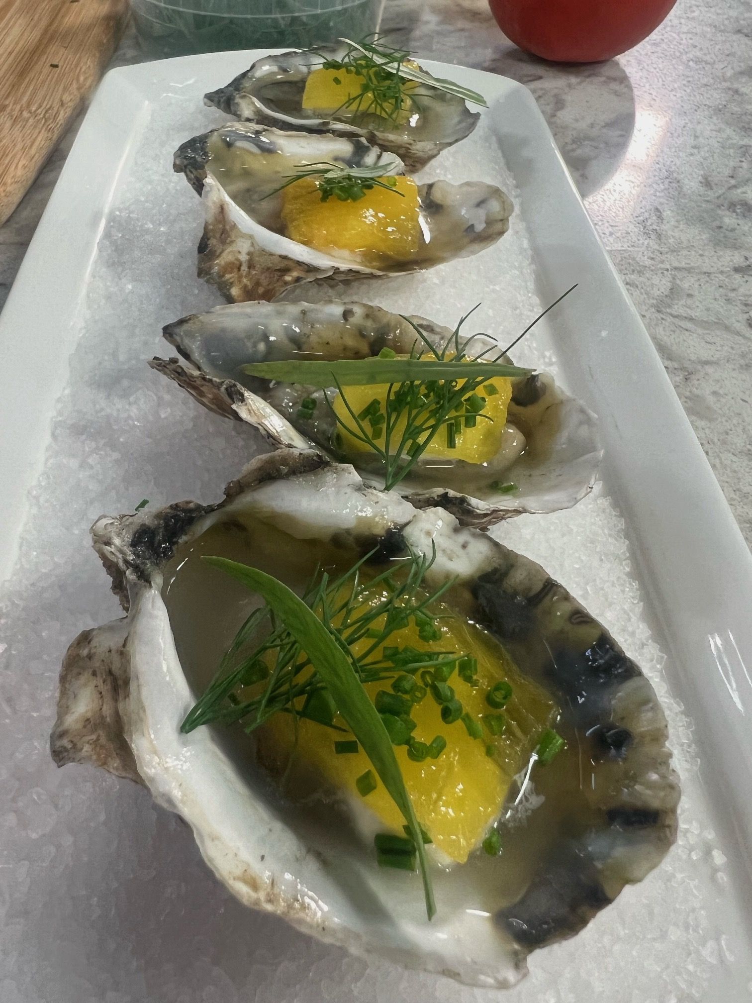 oysters